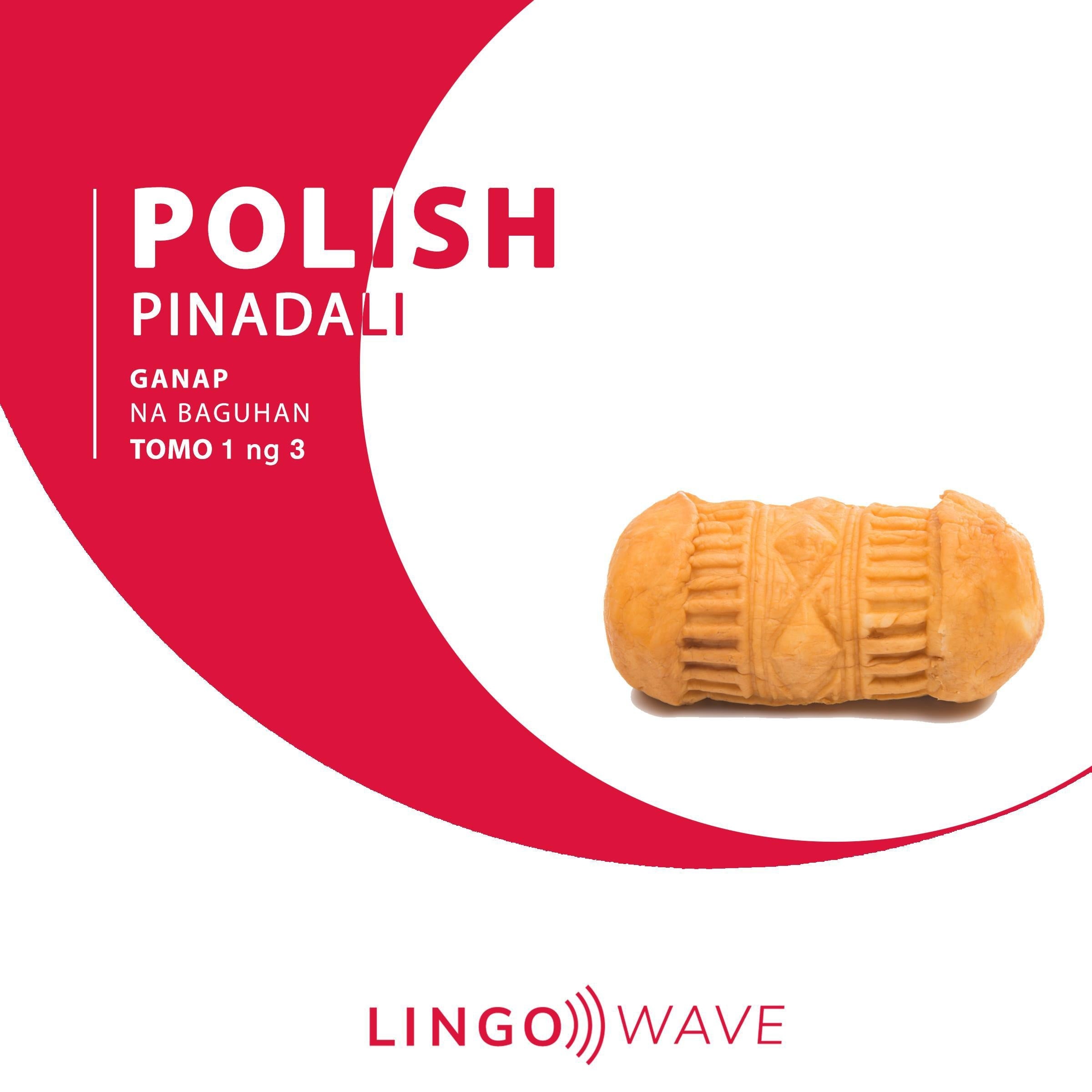 Polish Pinadali - Ganap na Baguhan - Tomo 1 ng 3