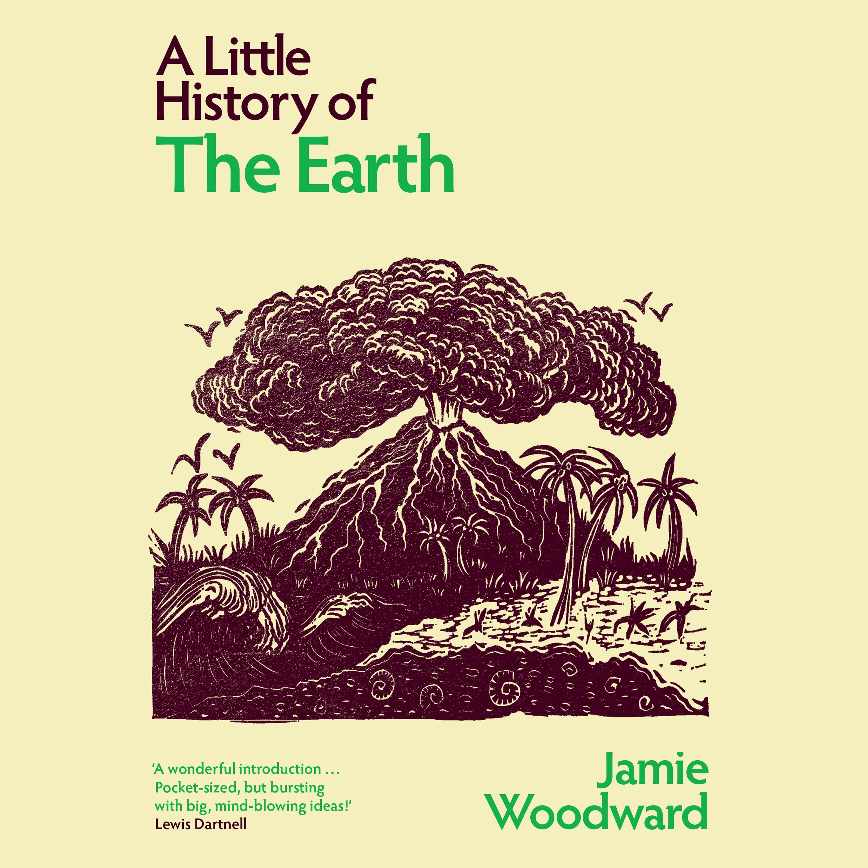 A Little History of the Earth