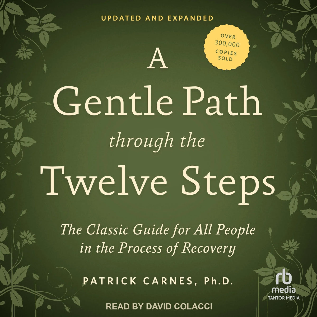 A Gentle Path through the Twelve Steps