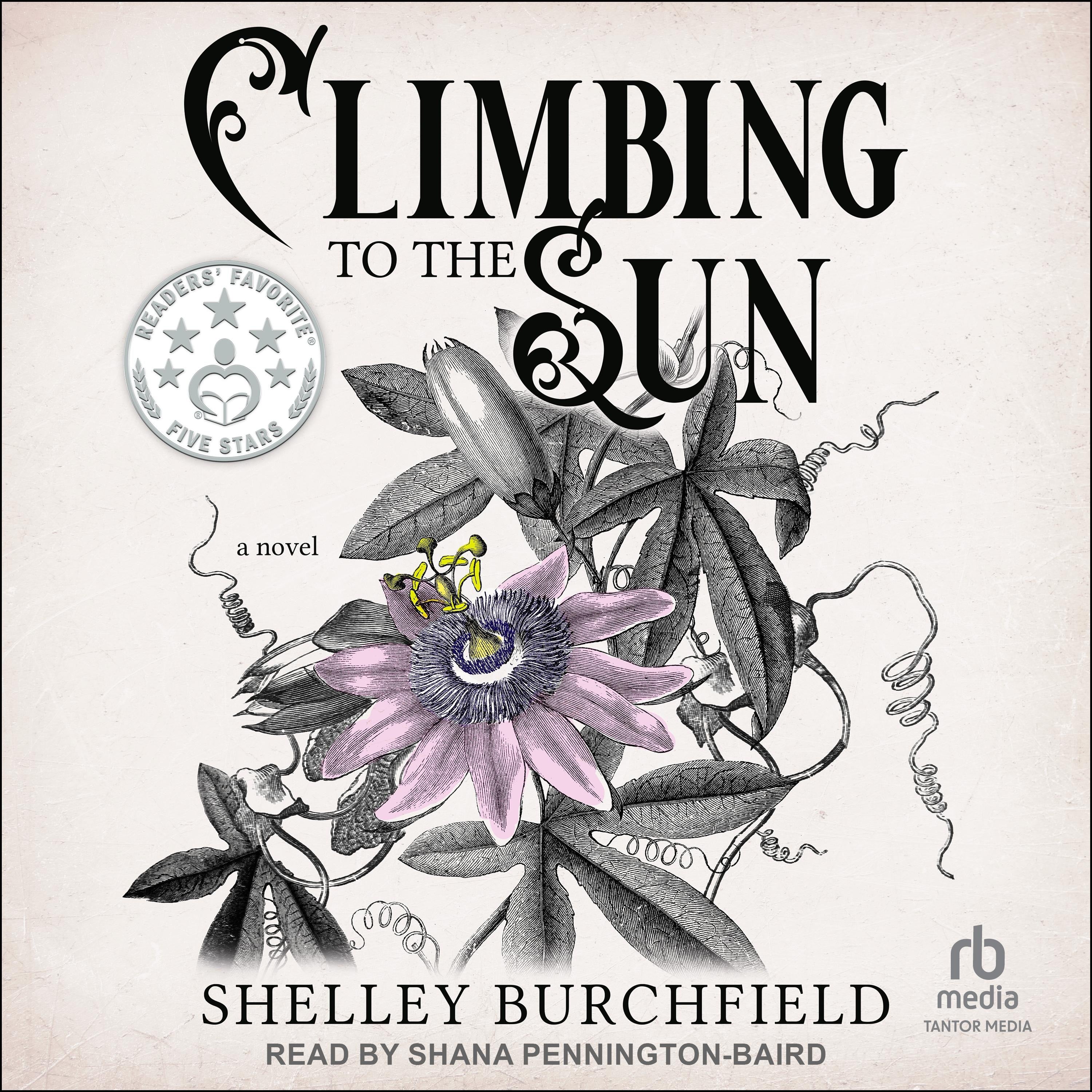 Climbing To The Sun