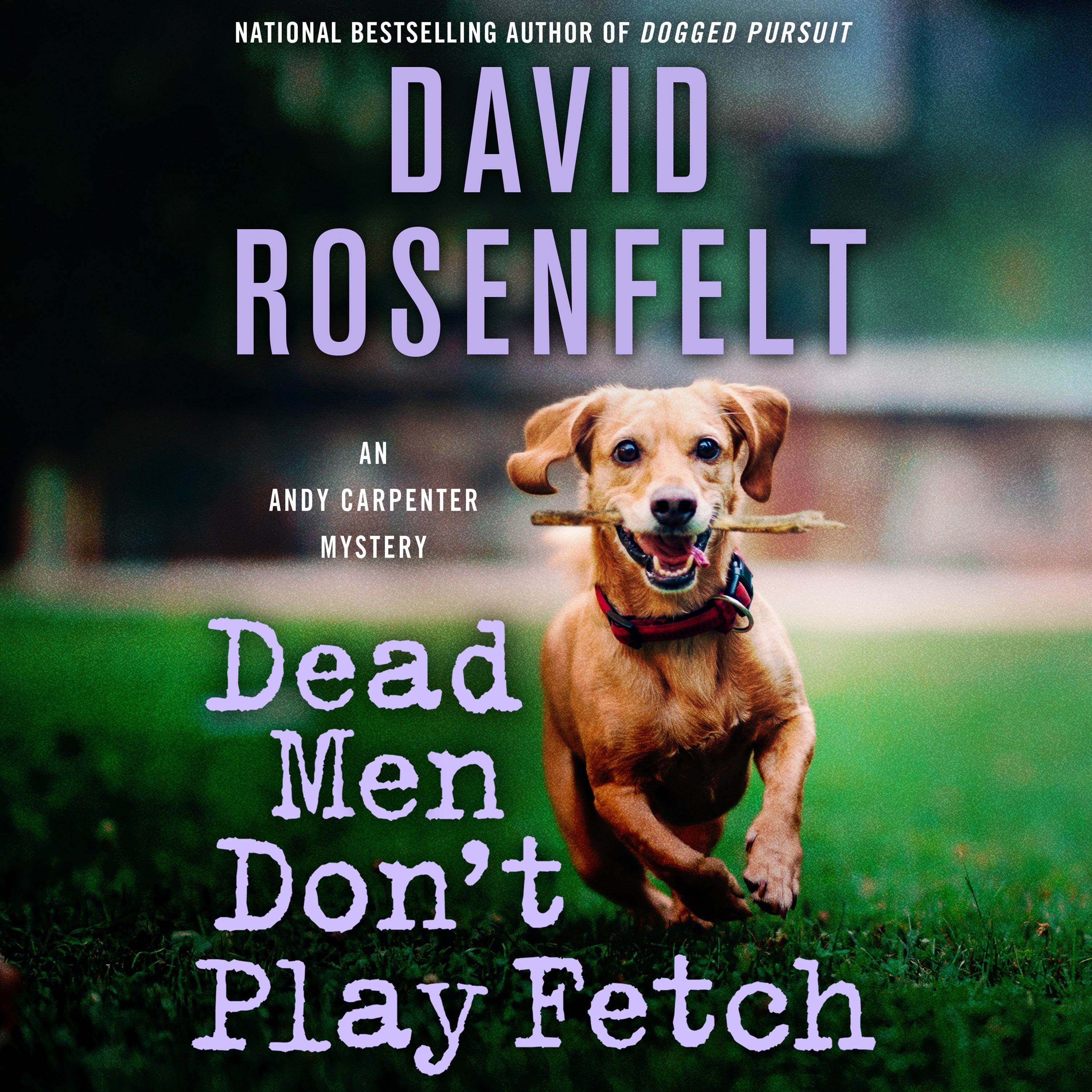 Dead Men Don't Play Fetch