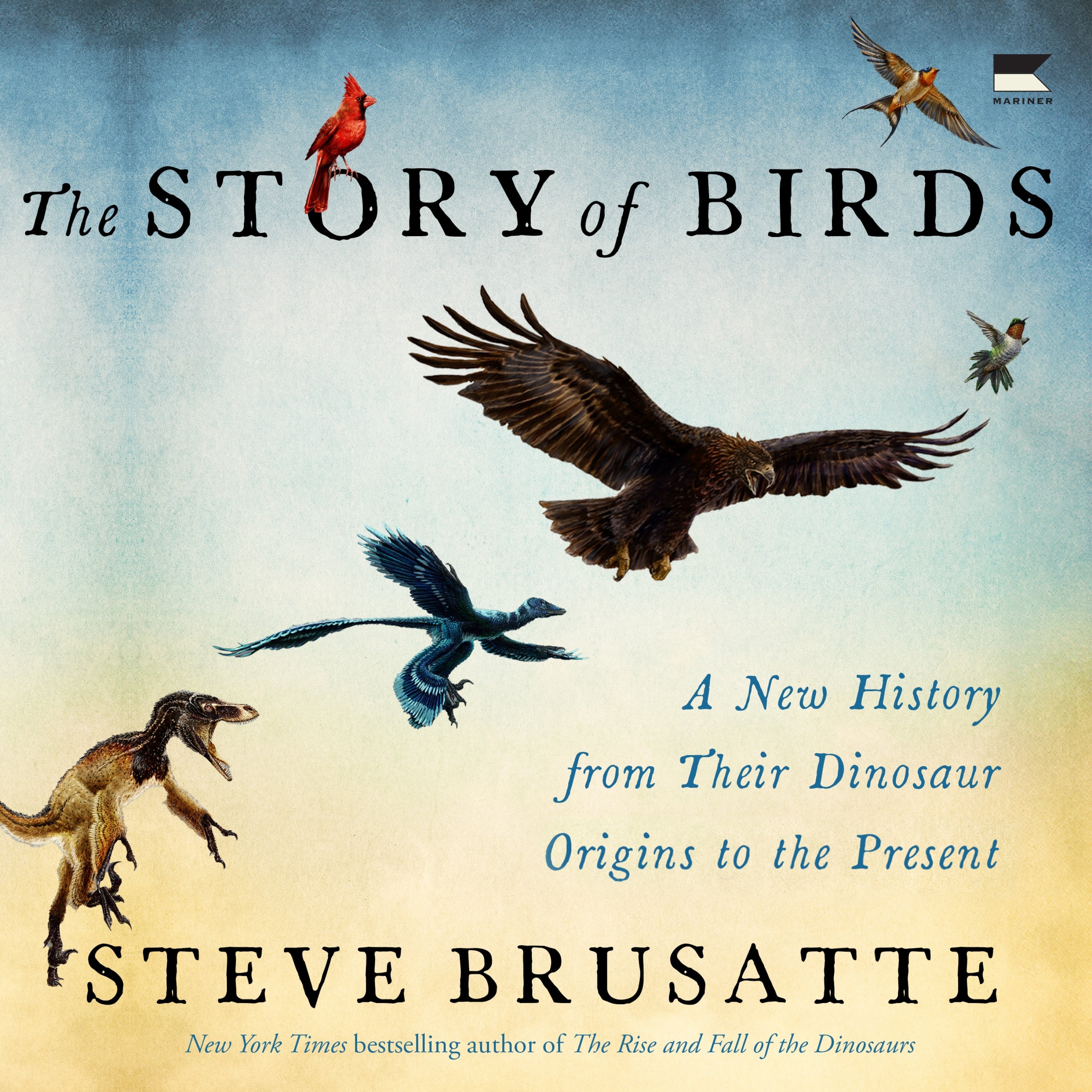 The Story of Birds