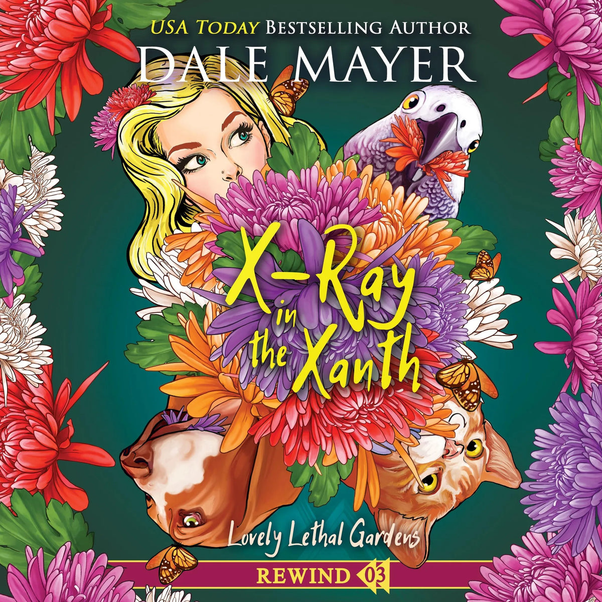 X-Ray in the Xanth