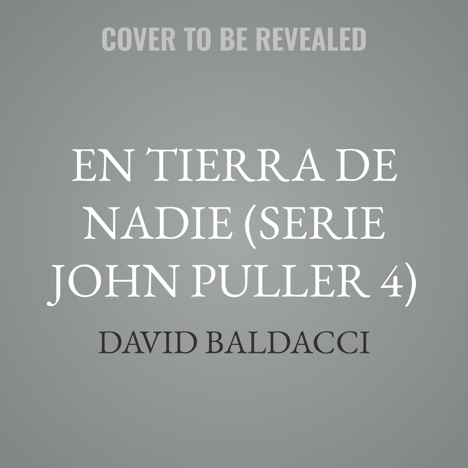 En tierra de nadie (Serie John Puller 4)