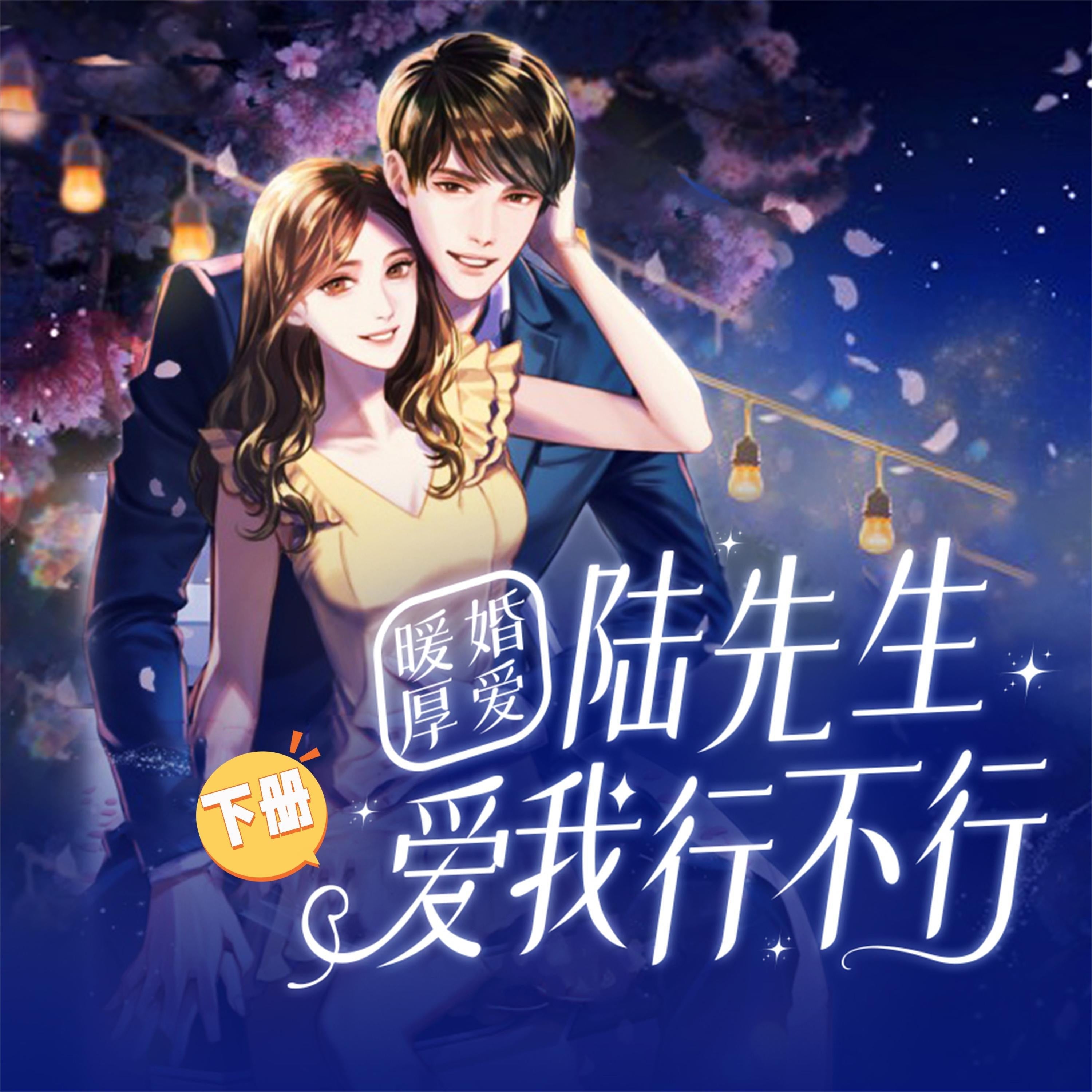 暖婚厚爱:陆先生,爱我行不行(下)