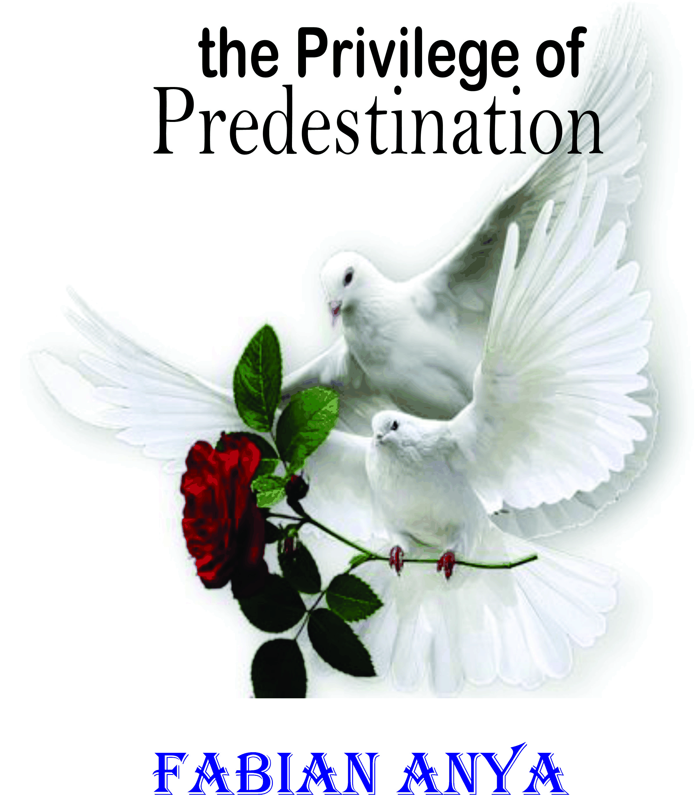 the Privilege of Predestination