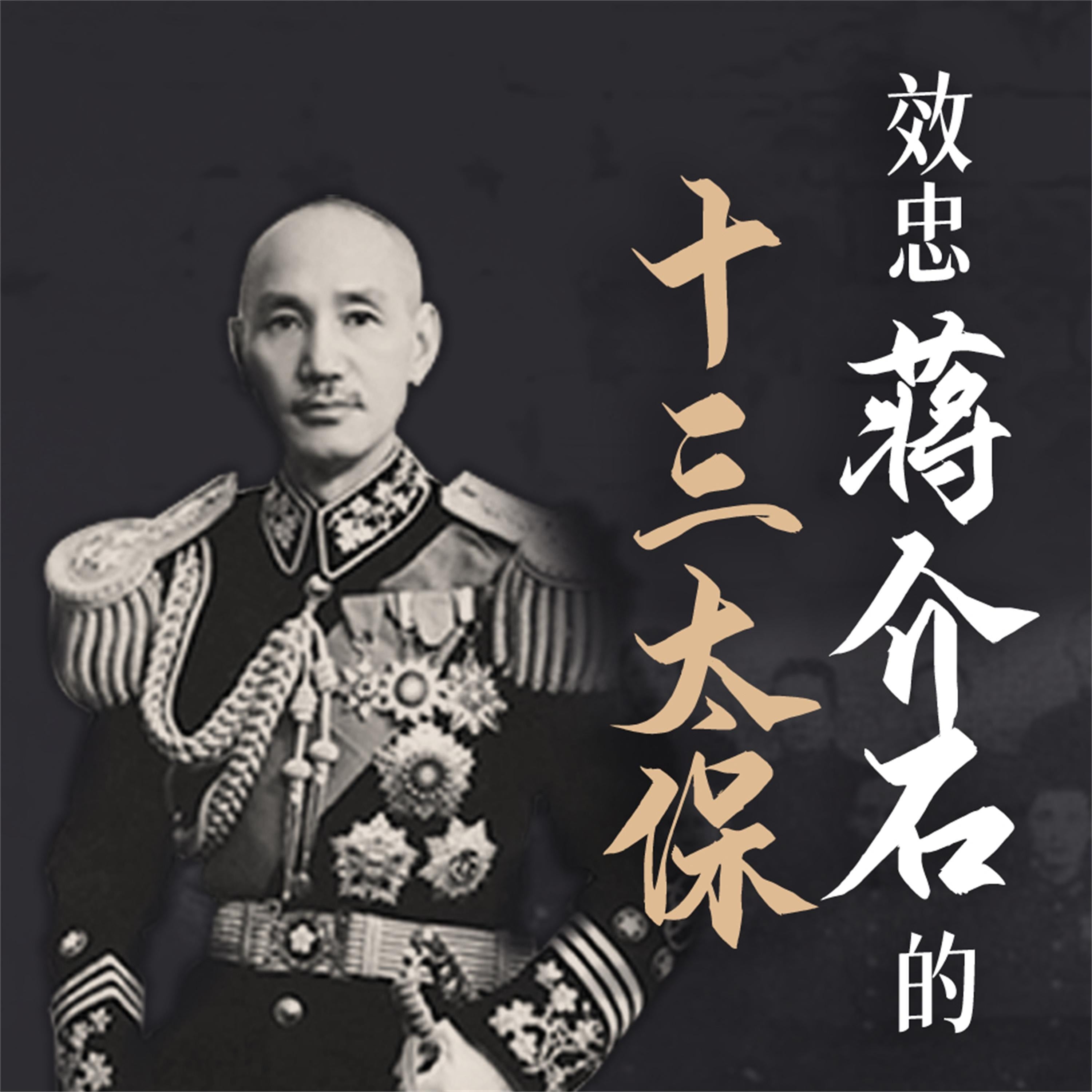 效忠蒋介石的十三太保