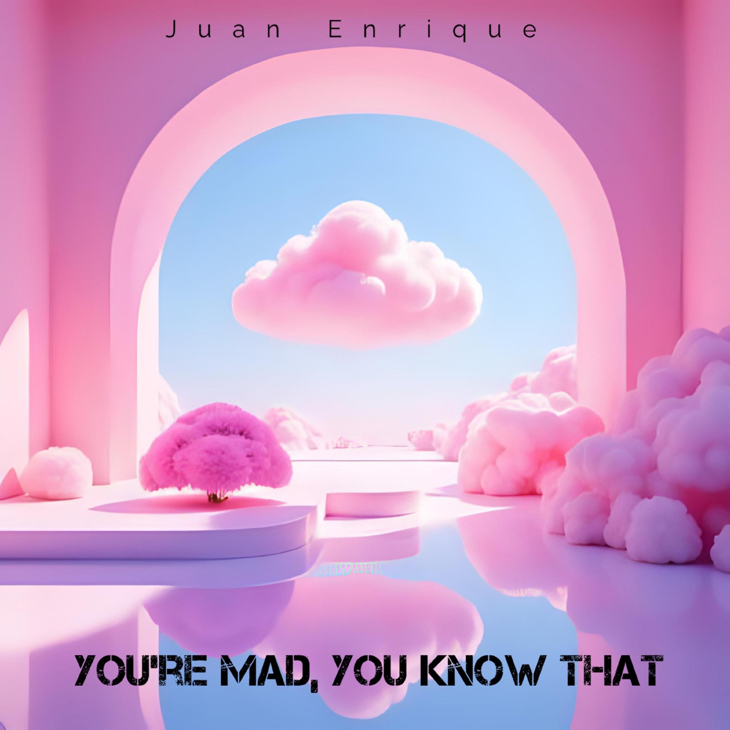 You’re mad, you know that