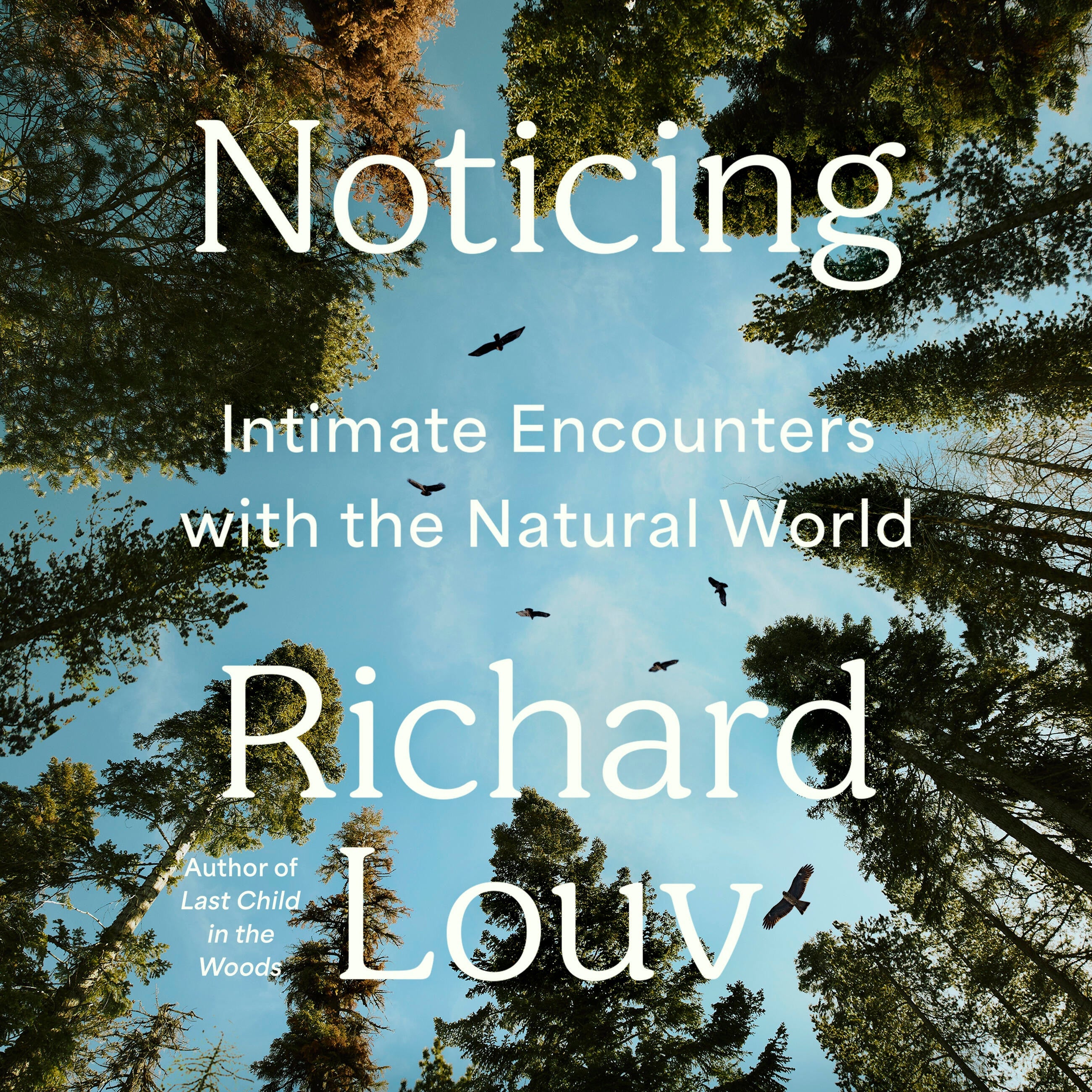 Noticing