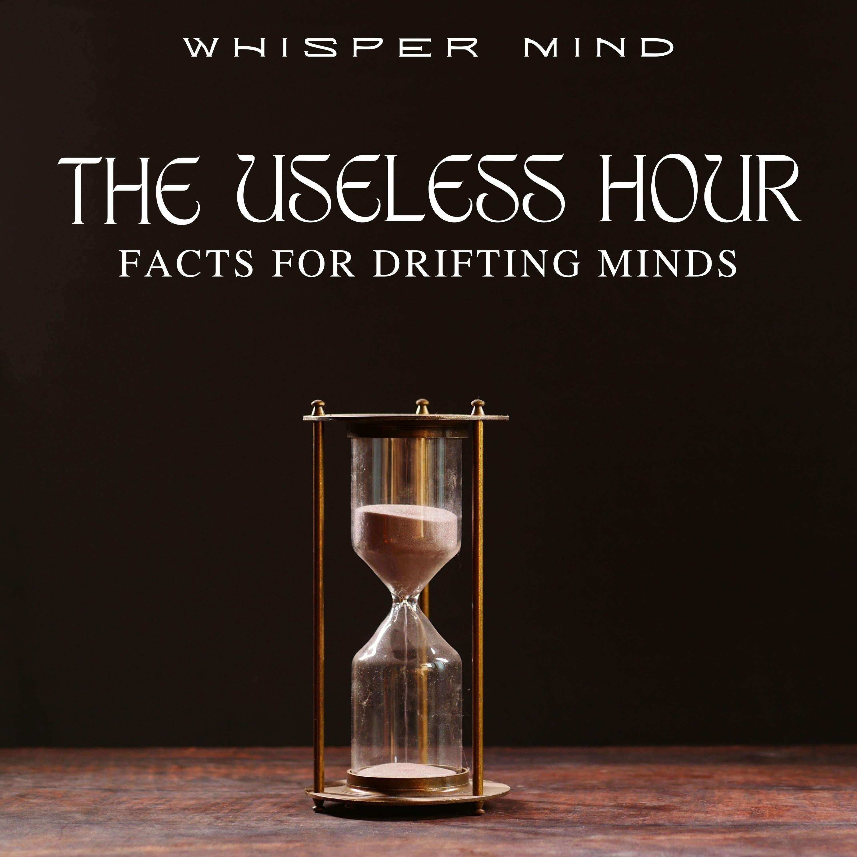 The Useless Hour