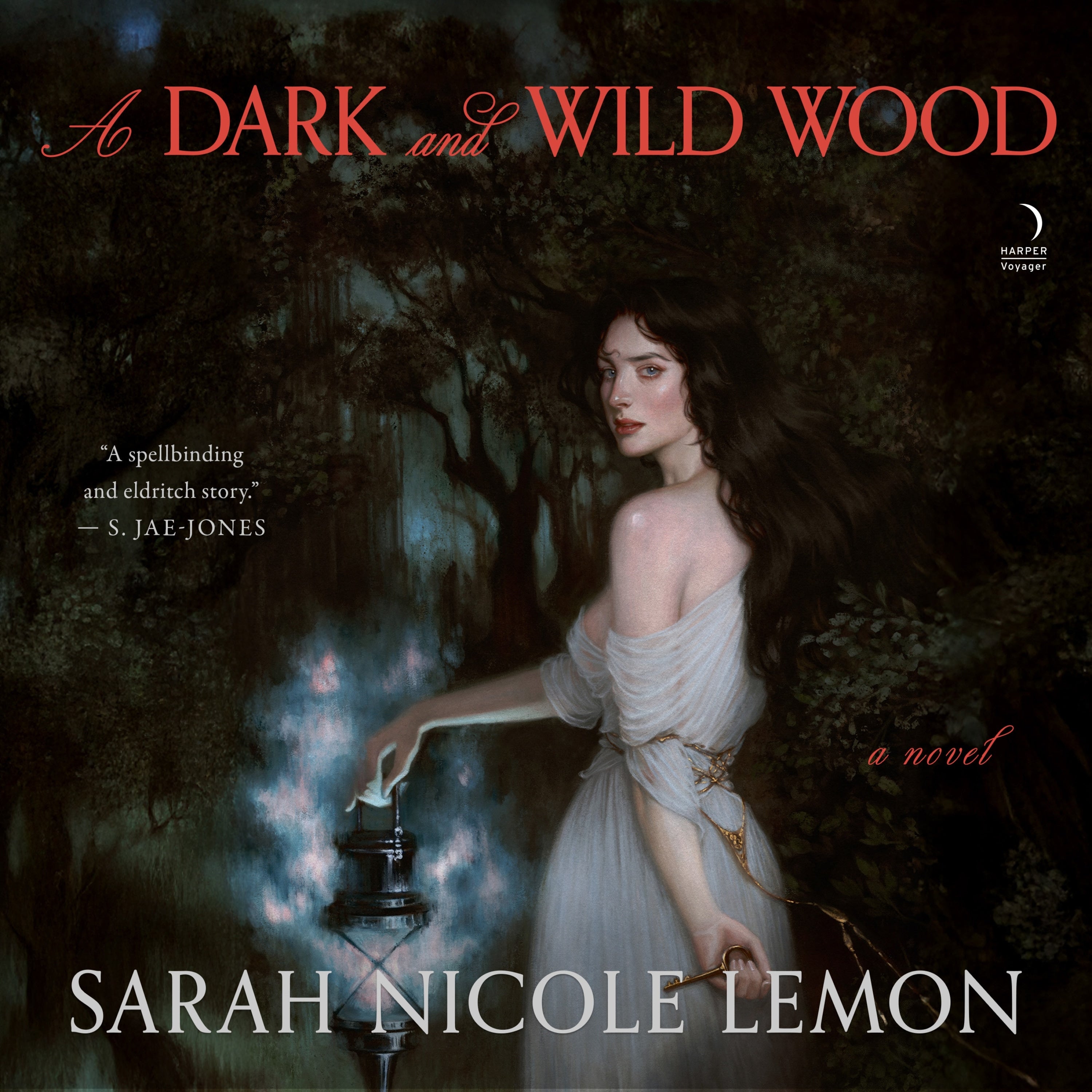 A Dark and Wild Wood