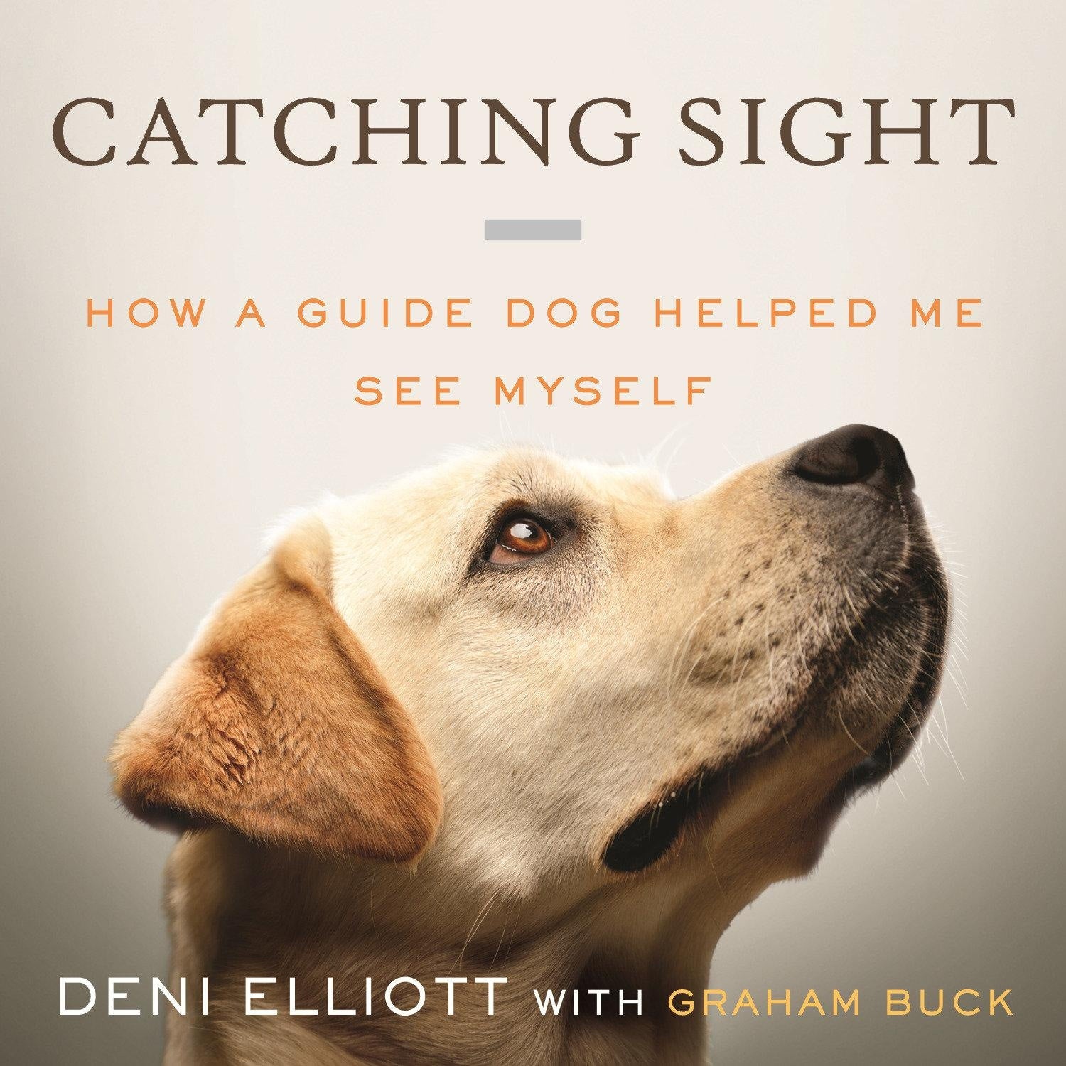 Catching Sight