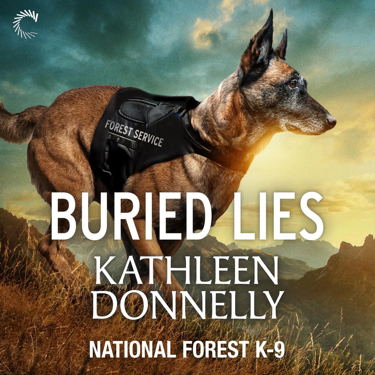 Buried Lies