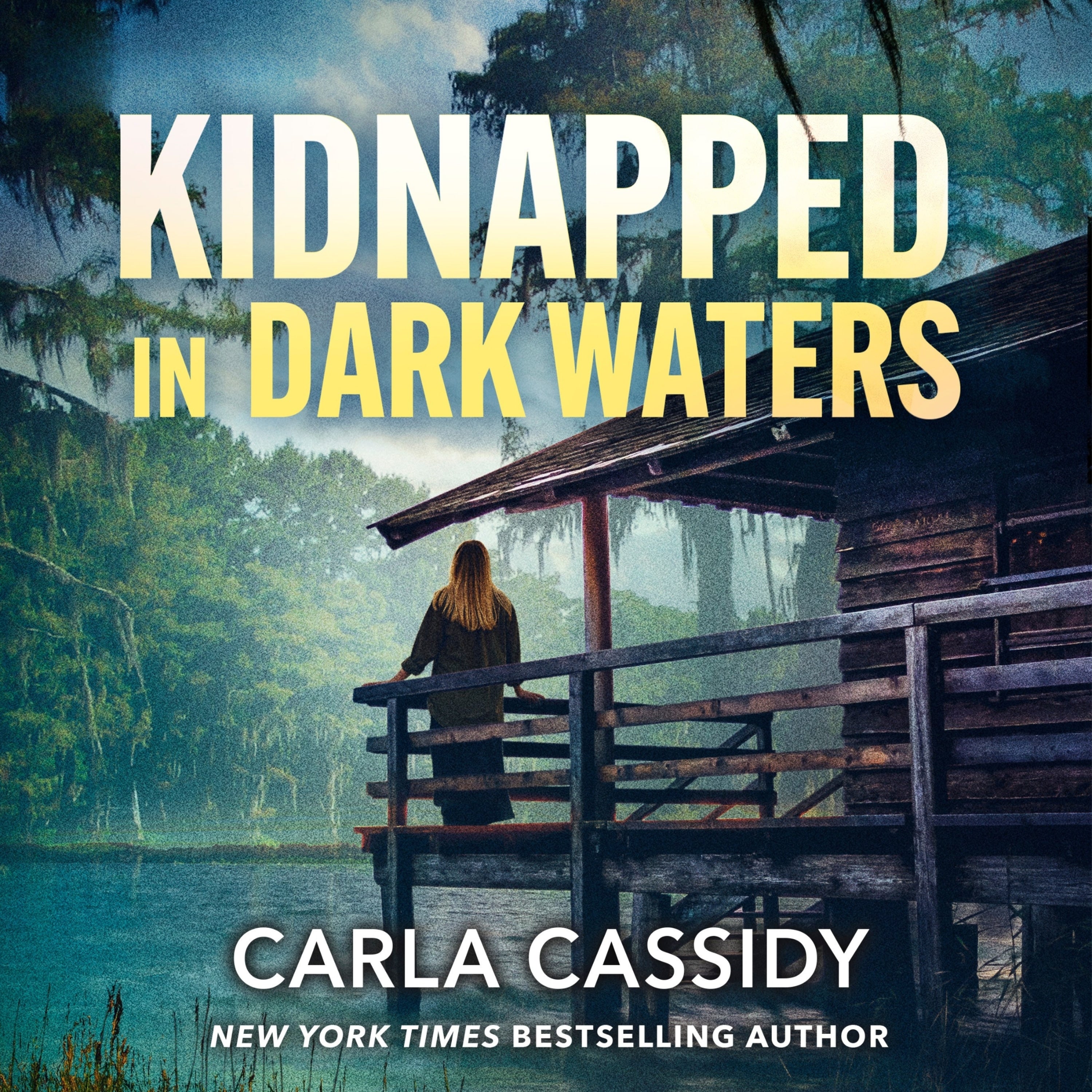 Kidnapped in Dark Waters
