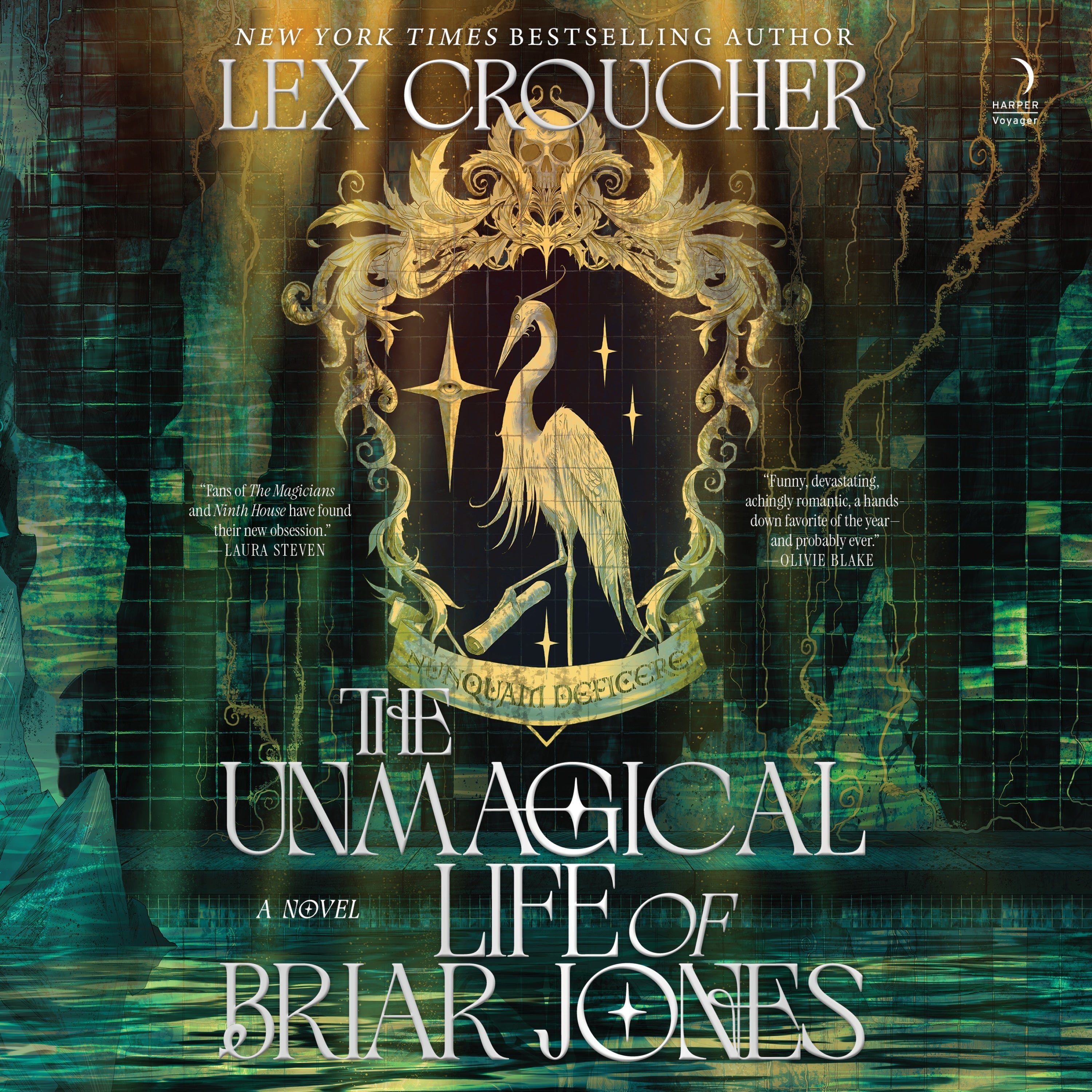 The Unmagical Life of Briar Jones