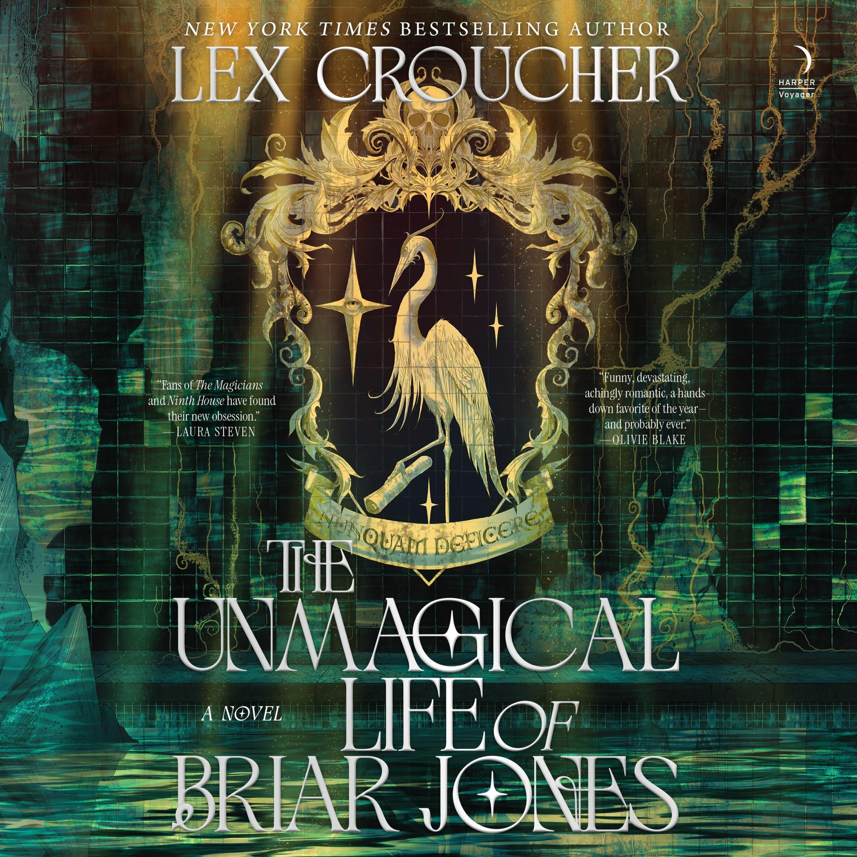 The Unmagical Life of Briar Jones