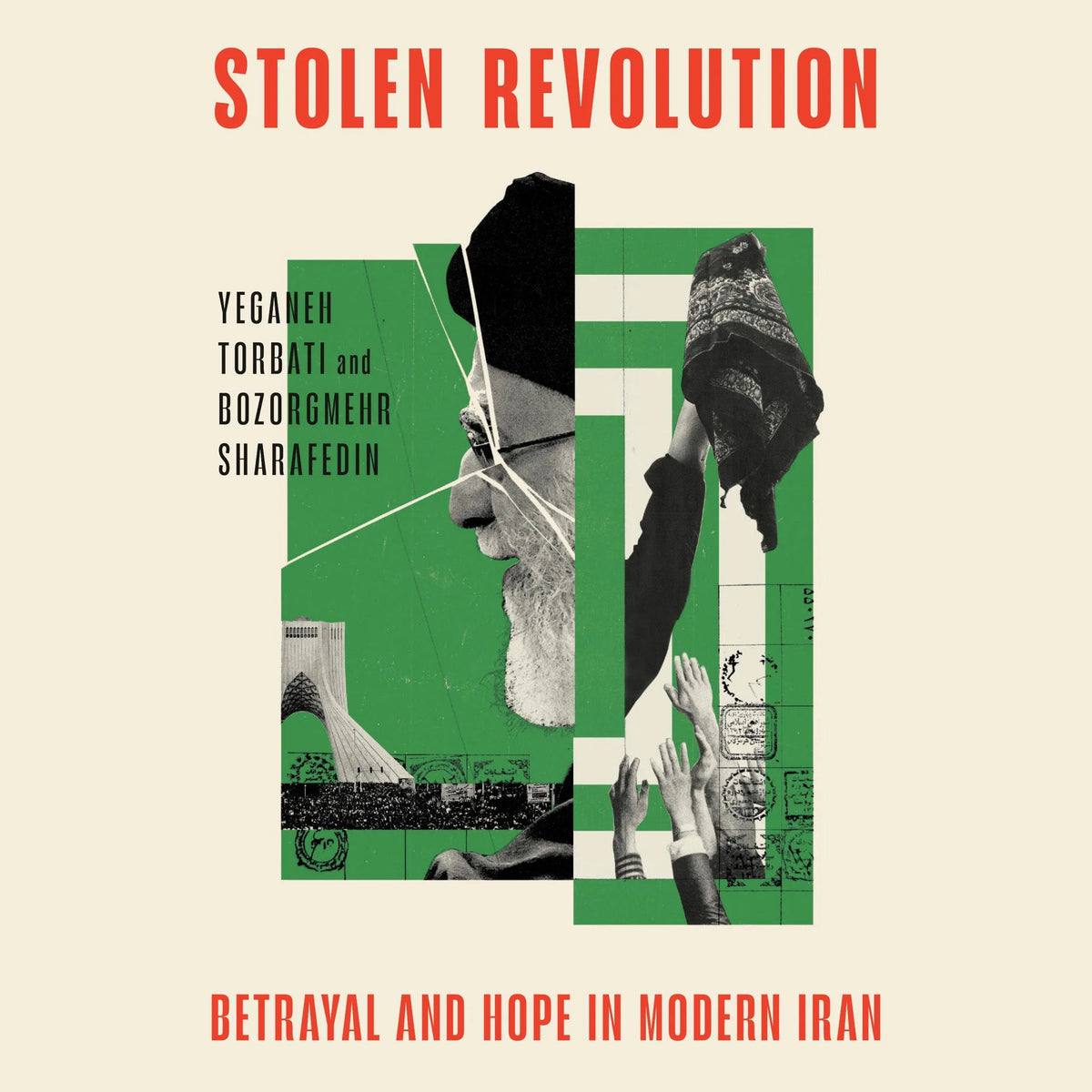 Stolen Revolution