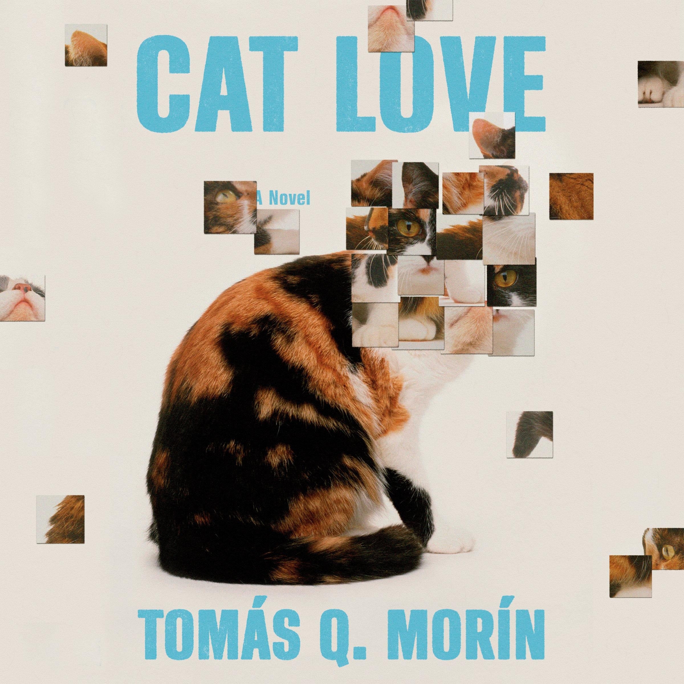 Cat Love