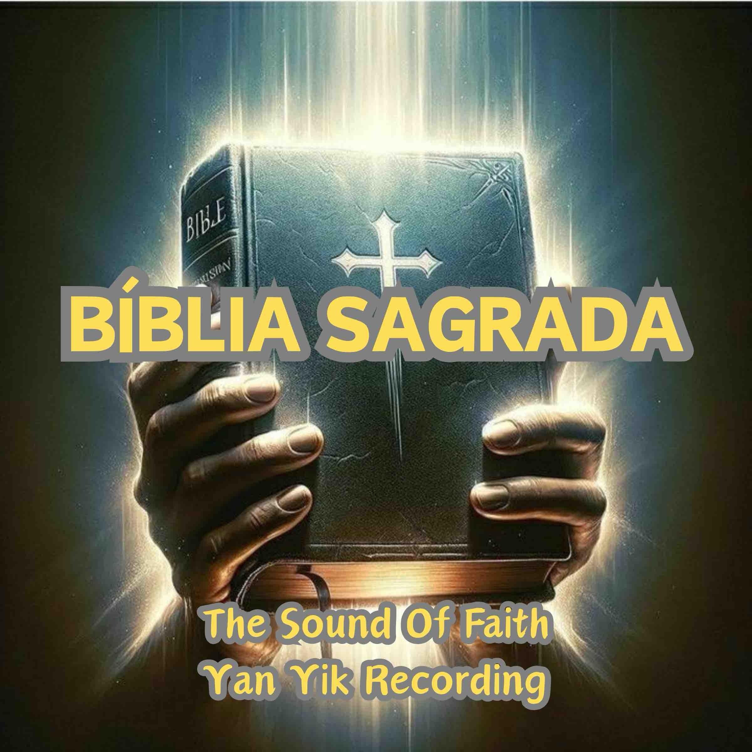Biblia Sagrada
