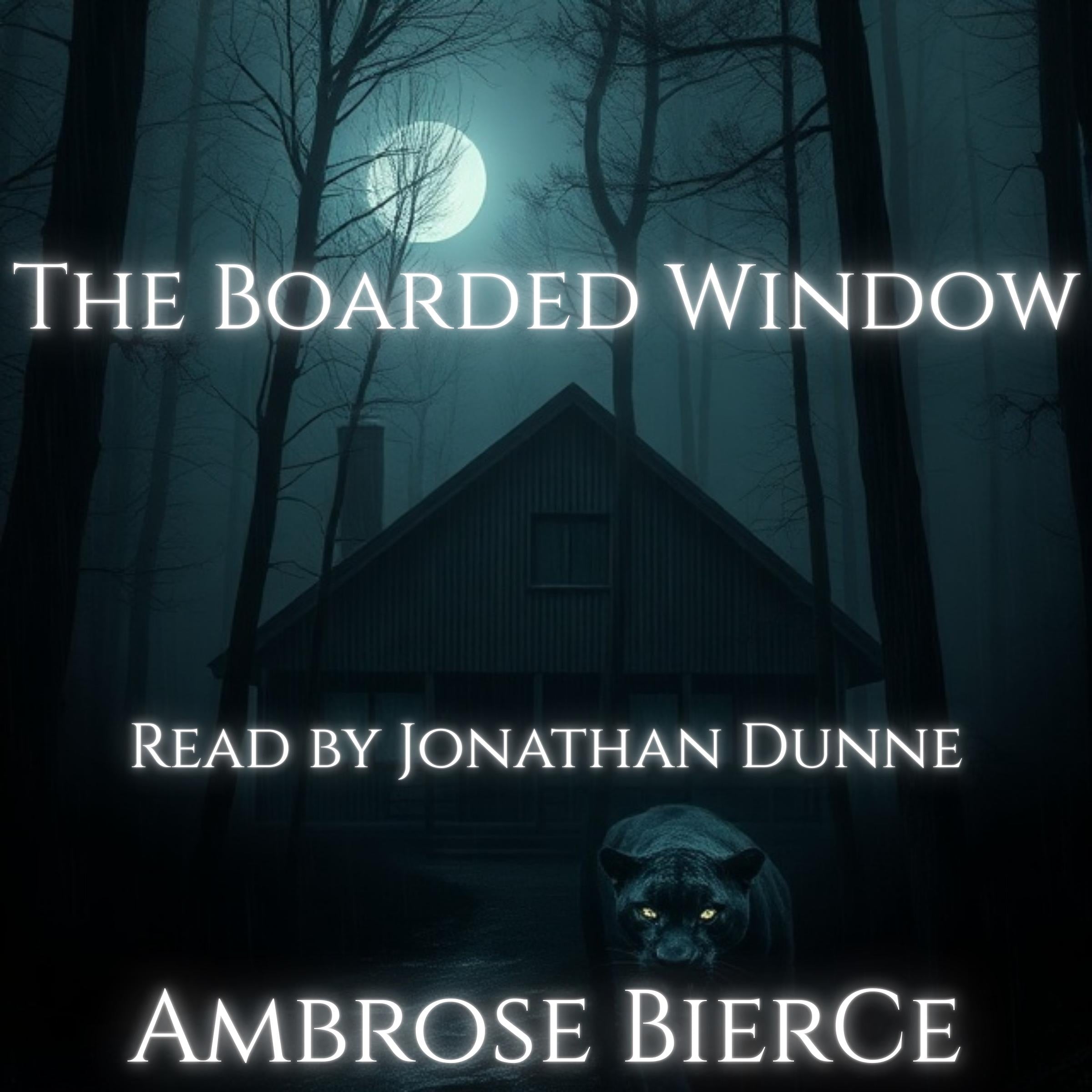 The Boarded Window
