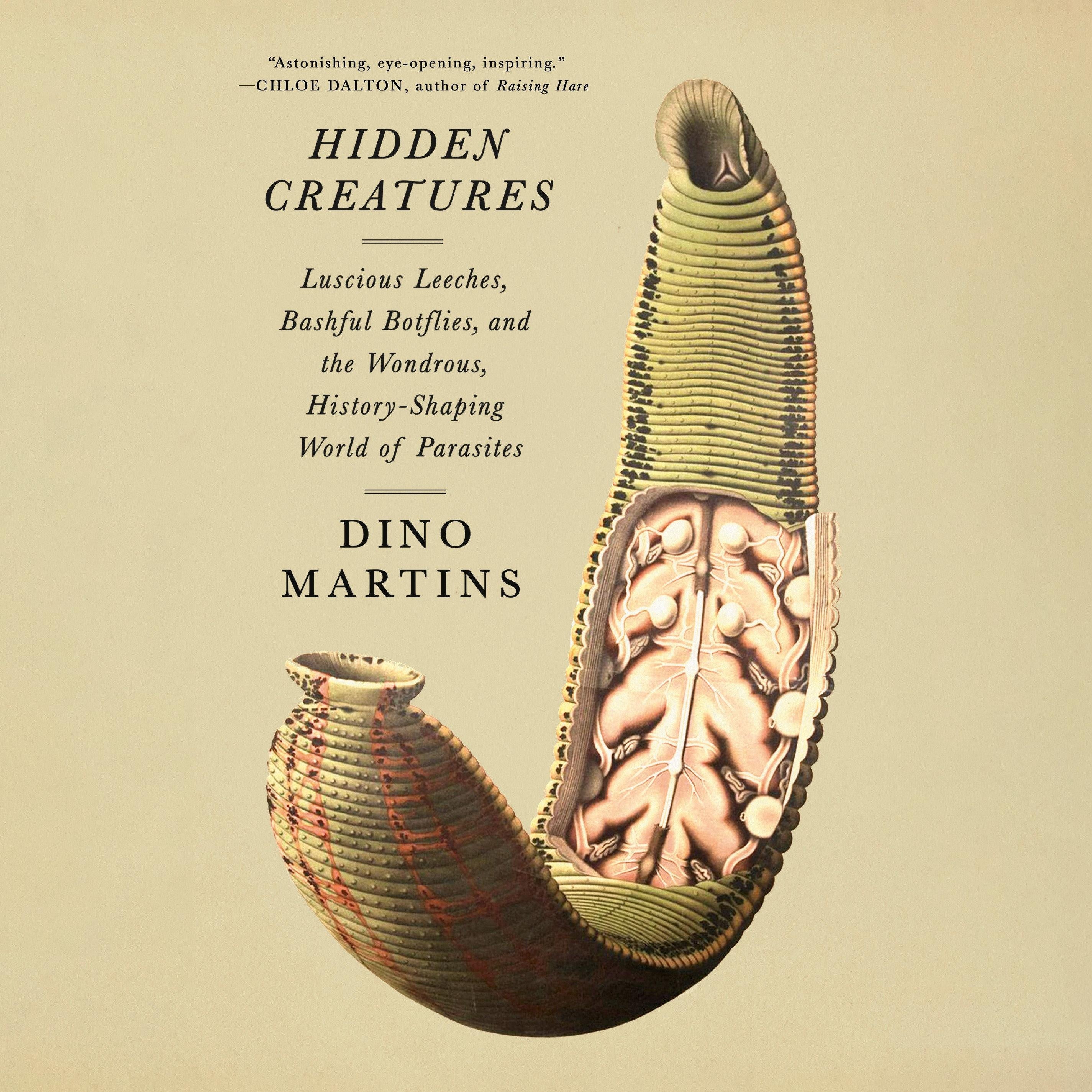 Hidden Creatures