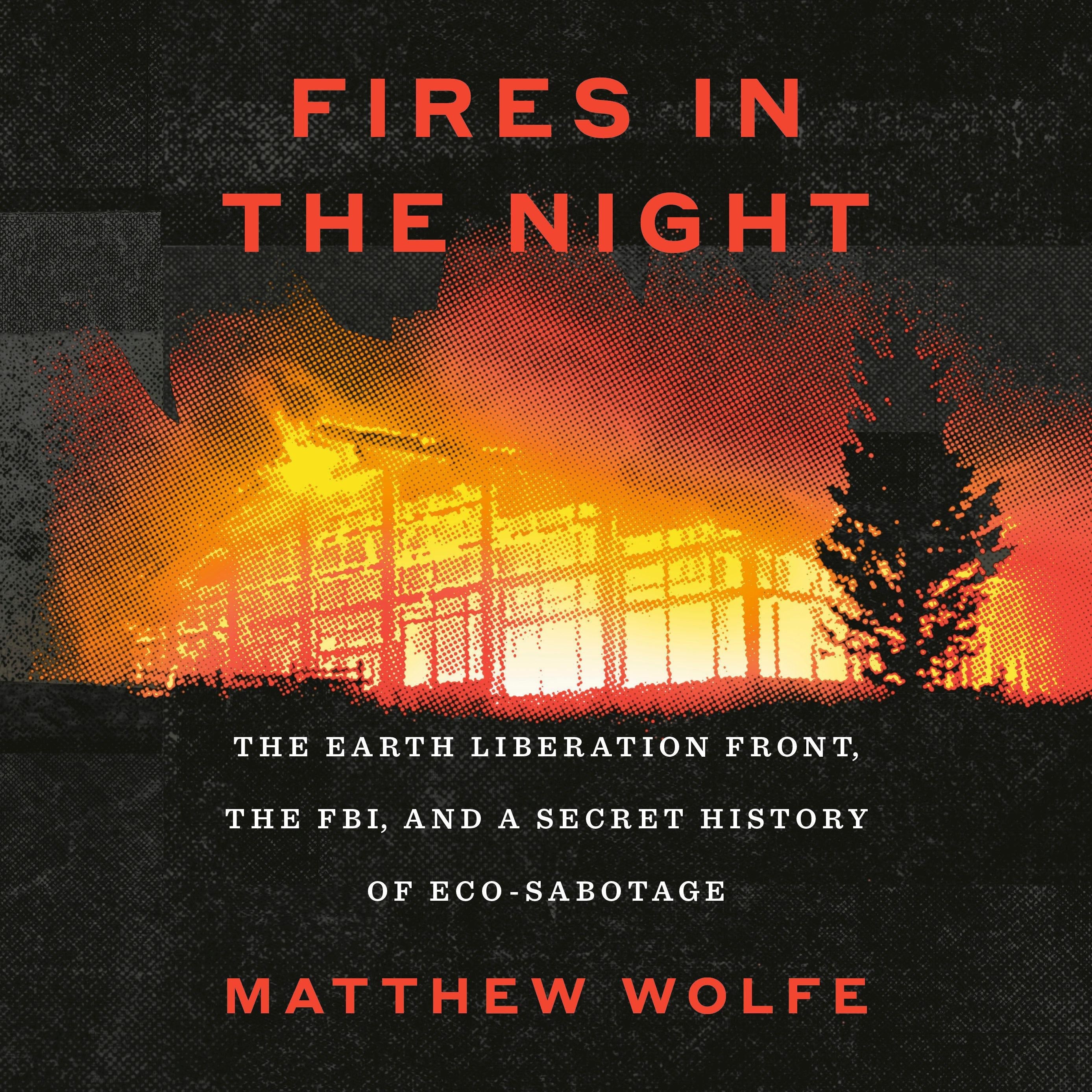 Fires in the Night