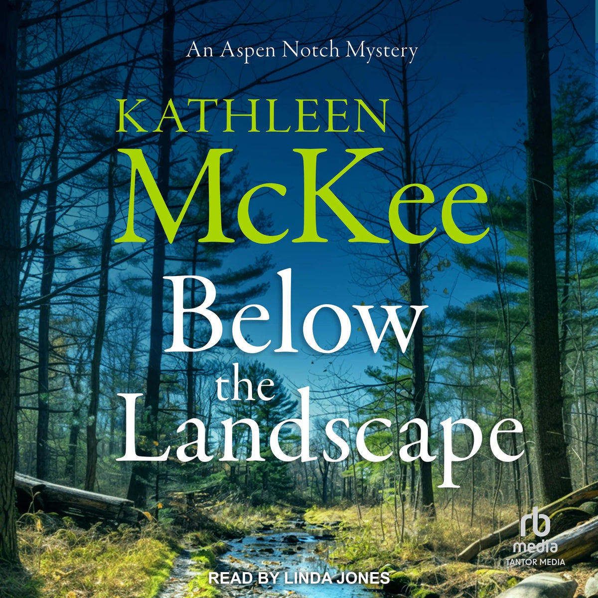 Below the Landscape