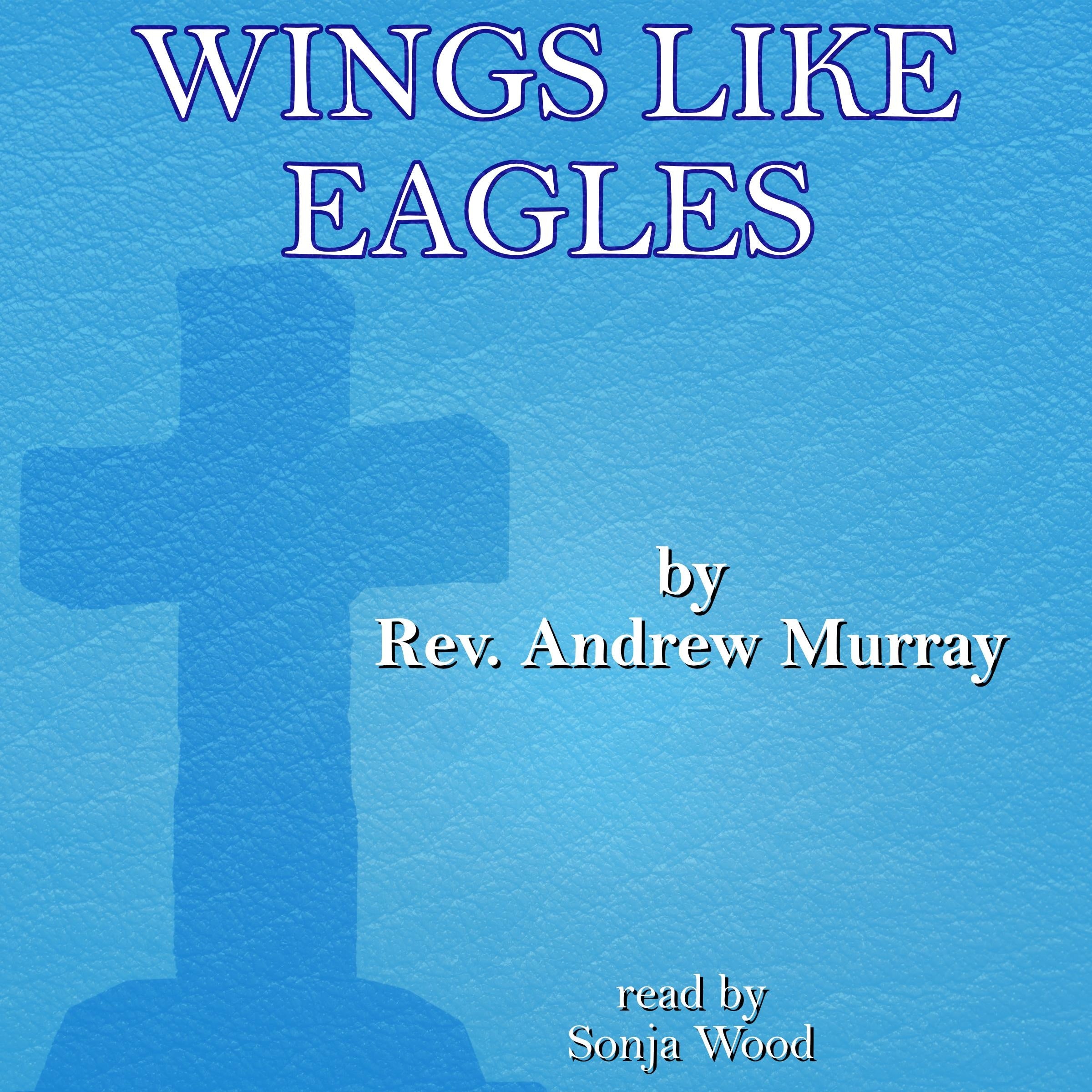 Wings Like Eagles