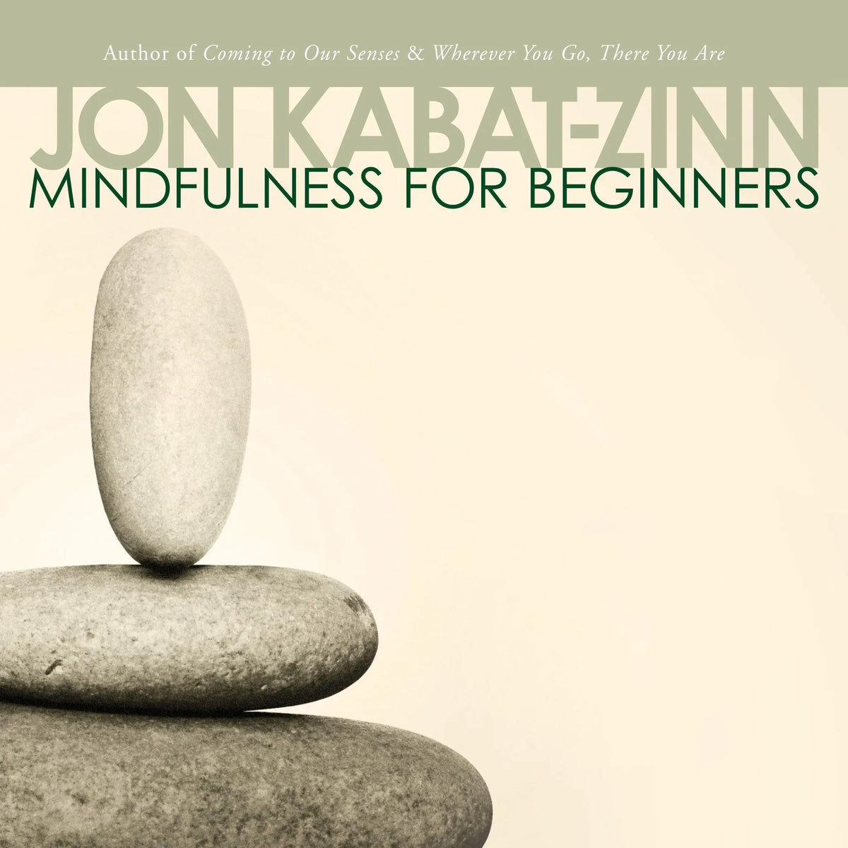 Mindfulness for Beginners