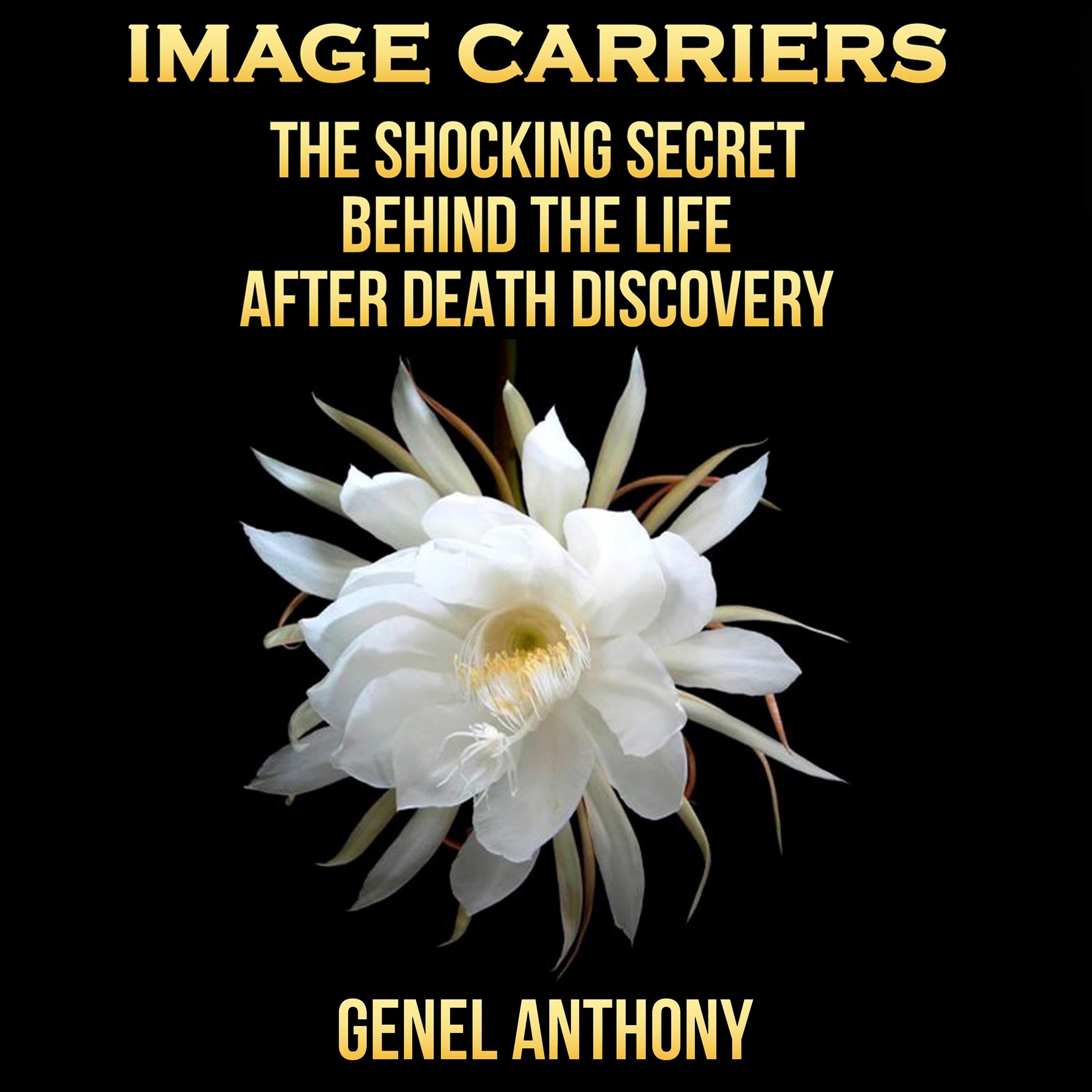 Image Carriers