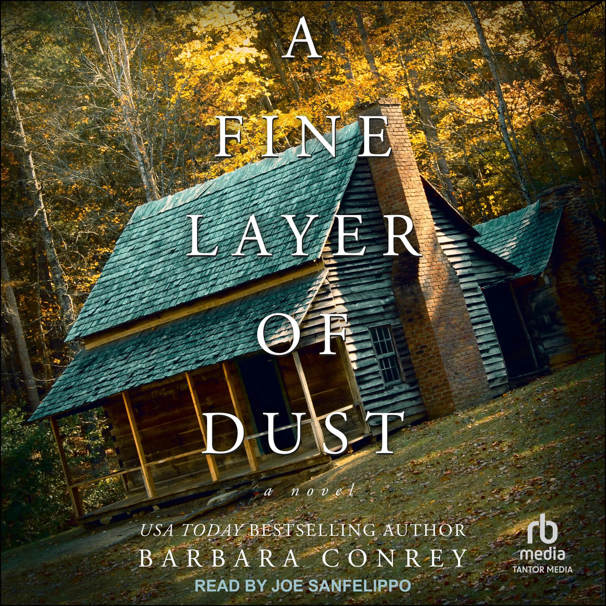 A Fine Layer of Dust