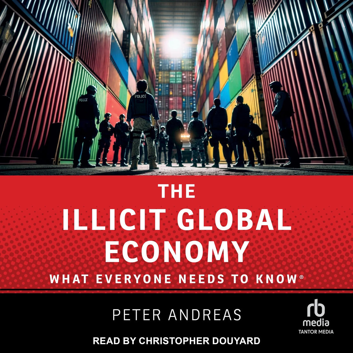 The Illicit Global Economy