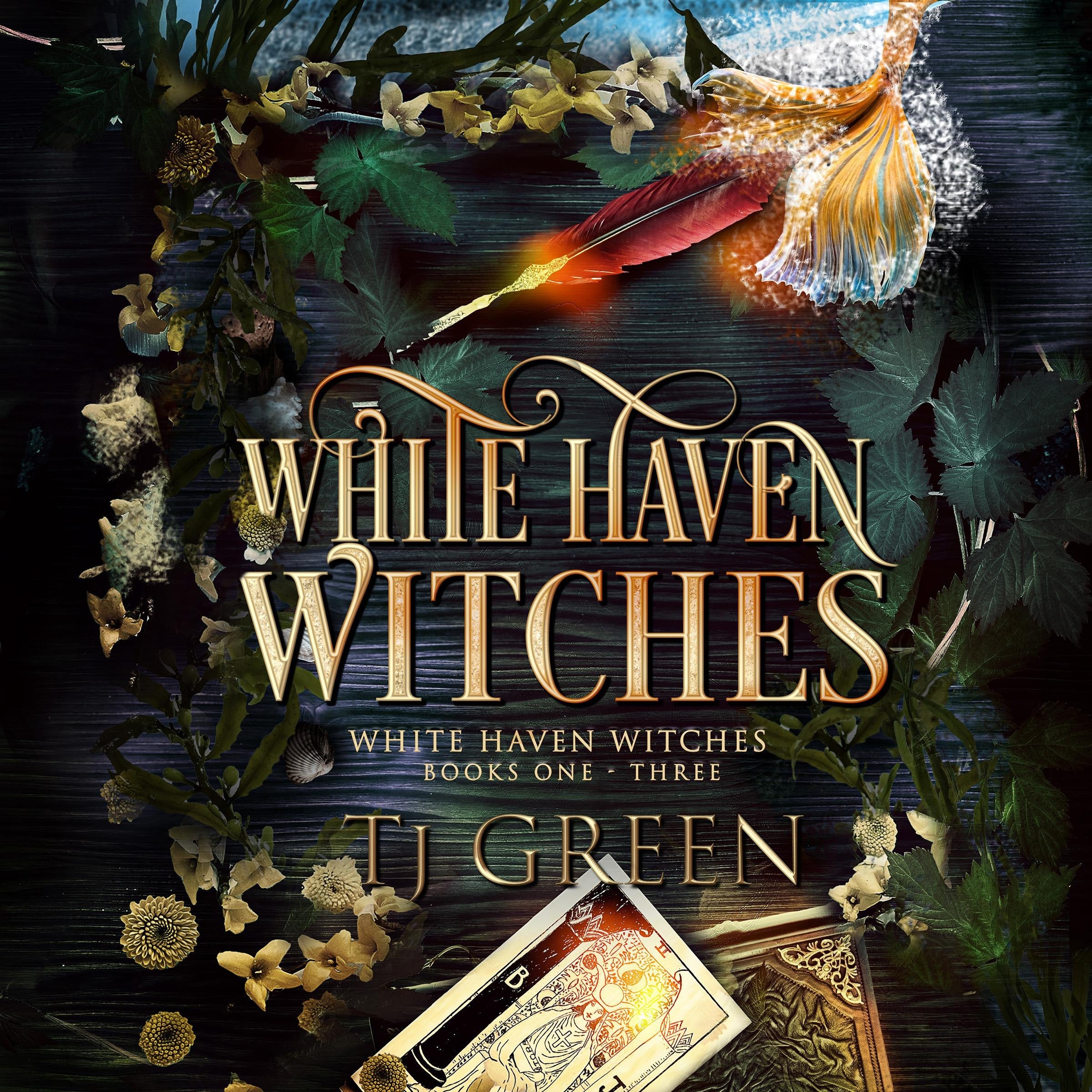 White Haven Witches Books 1-3
