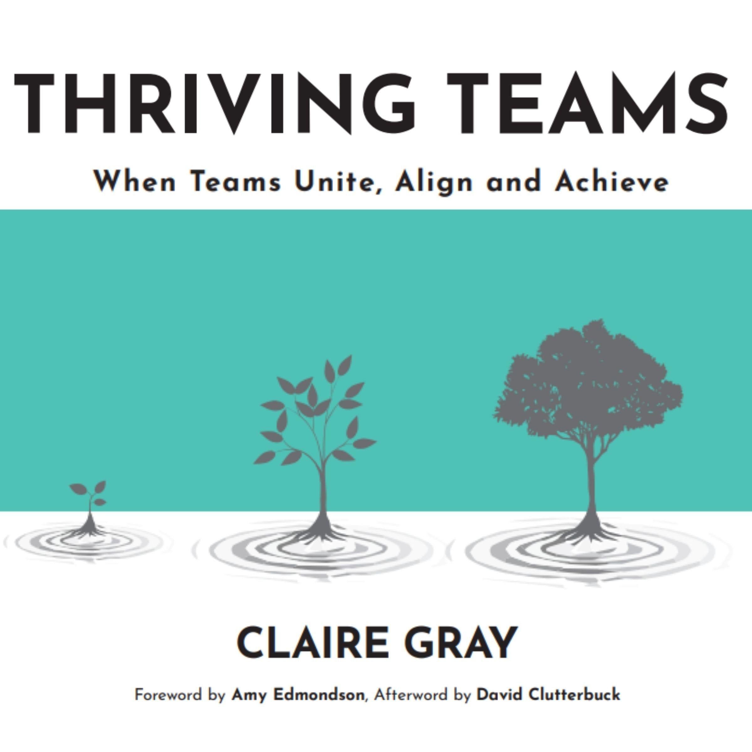 Thriving Teams