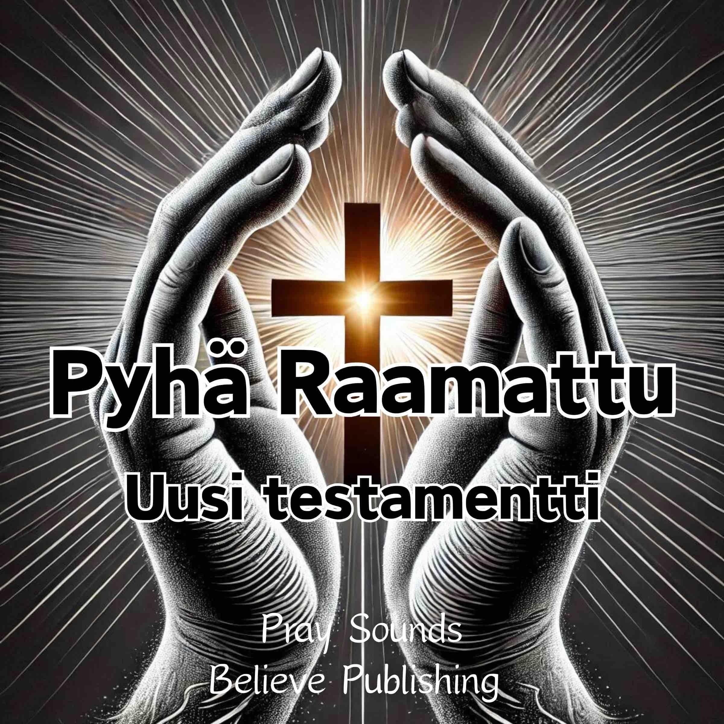 Pyhä Raamattu | Uusi Testamentti