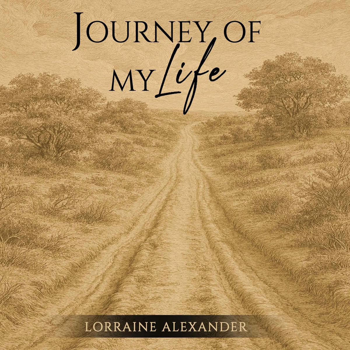 Journey of My Life