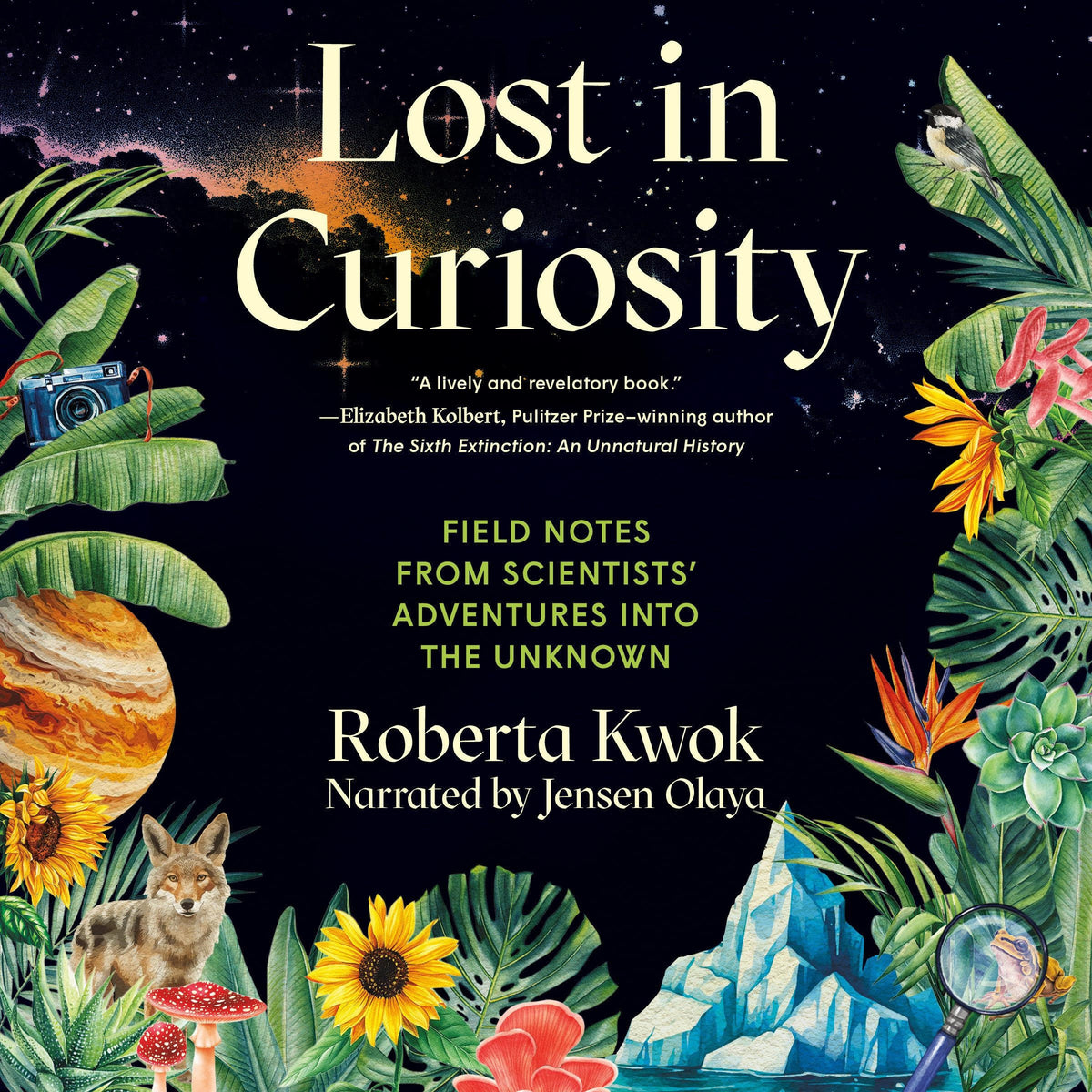 Lost in Curiosity