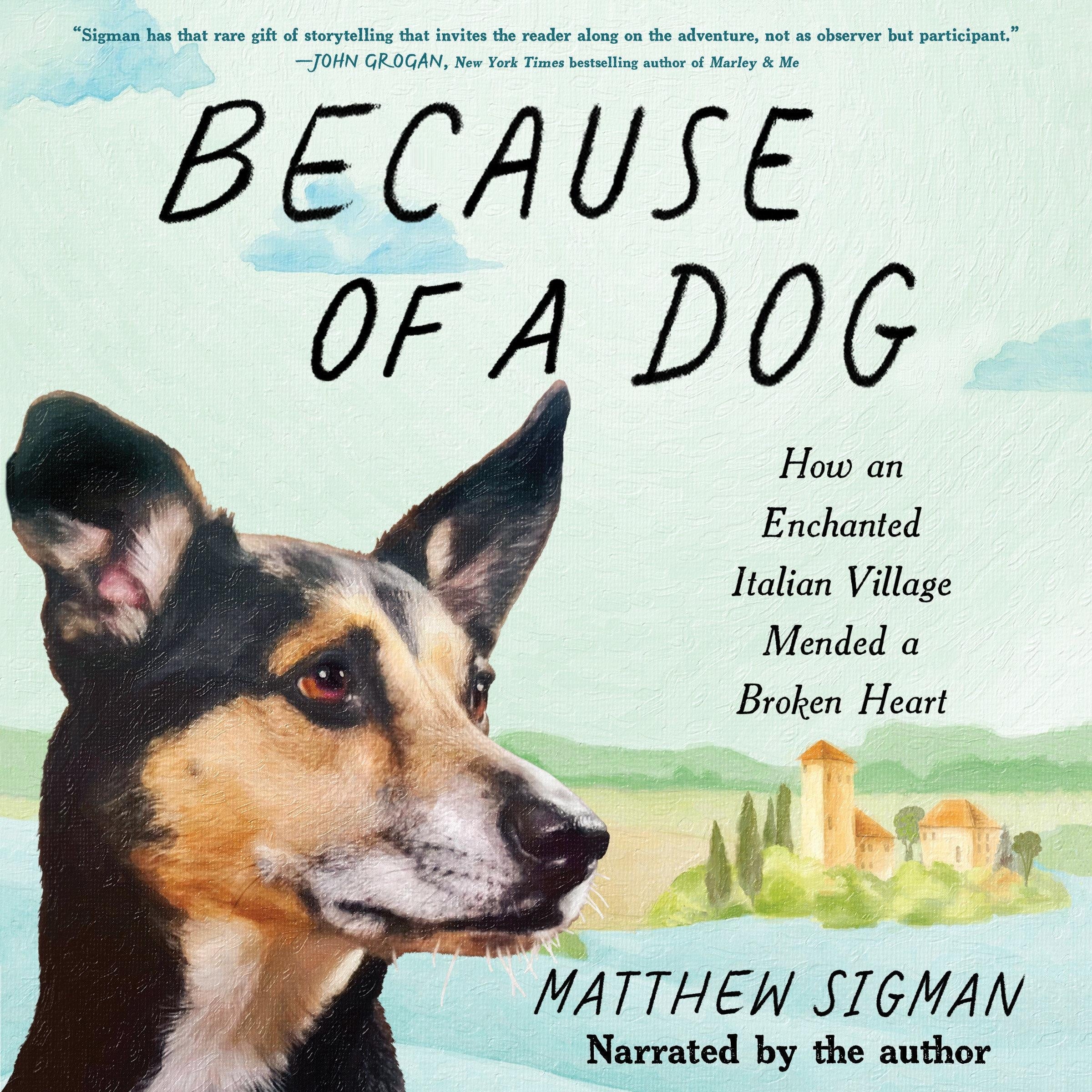 Because of a Dog