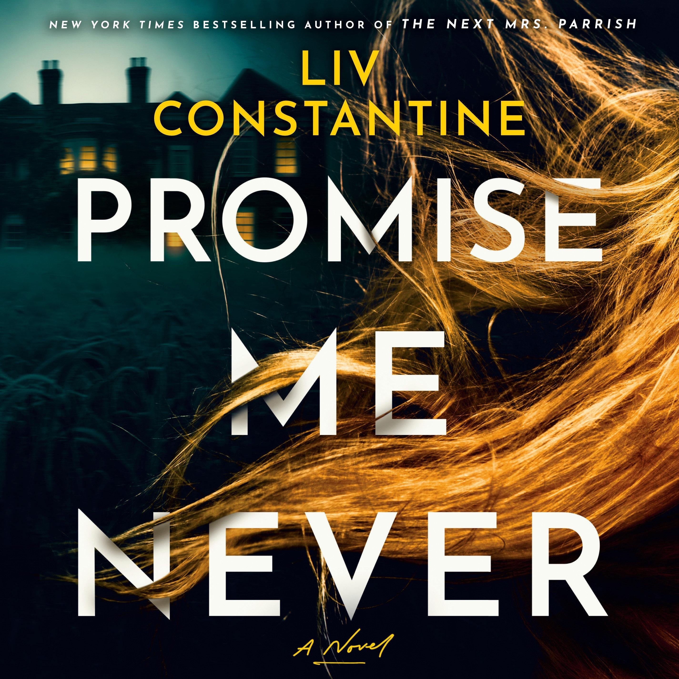 Promise Me Never