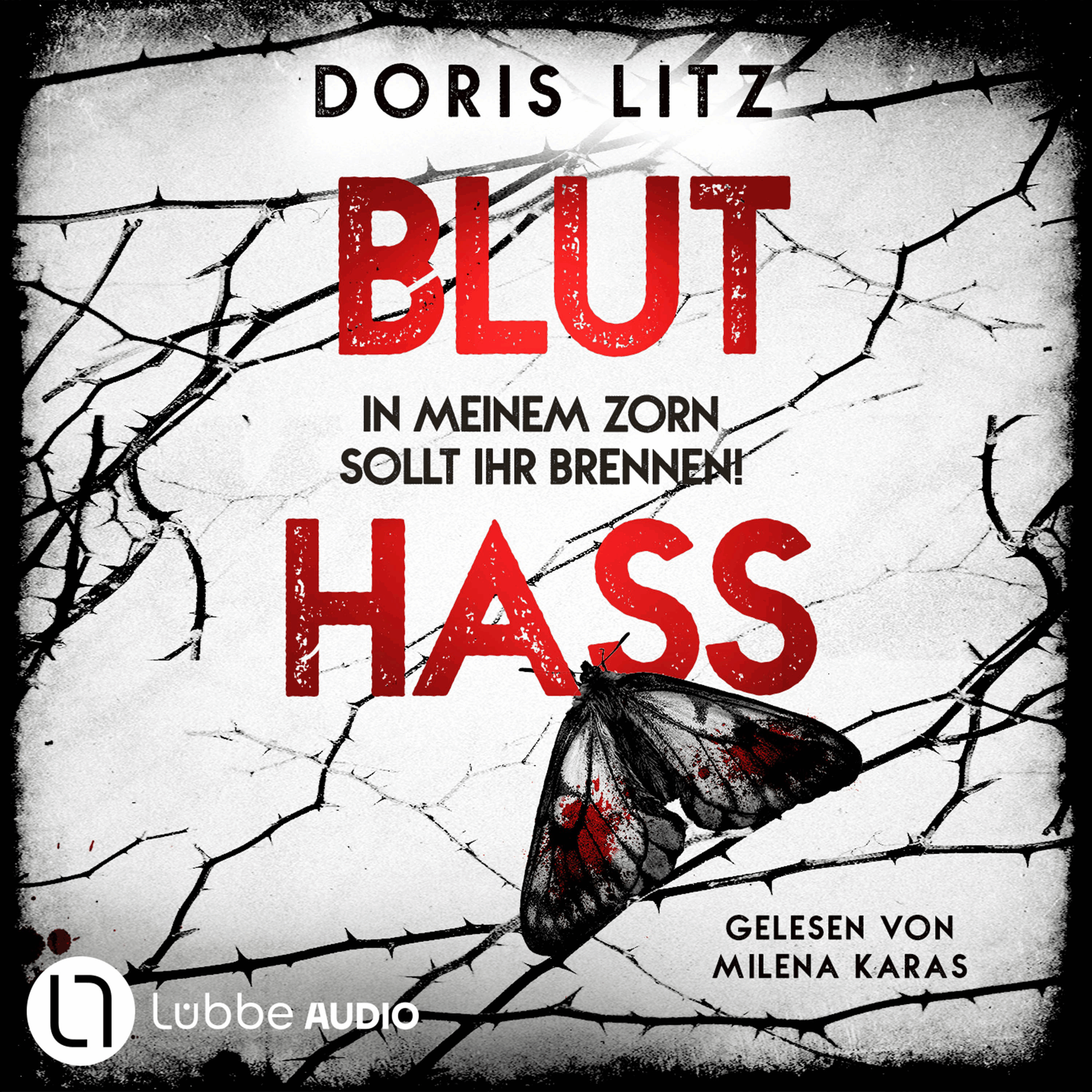 Bluthass - In meinem Zorn sollt ihr brennen! - Lina Saint-George-Reihe, Teil 5