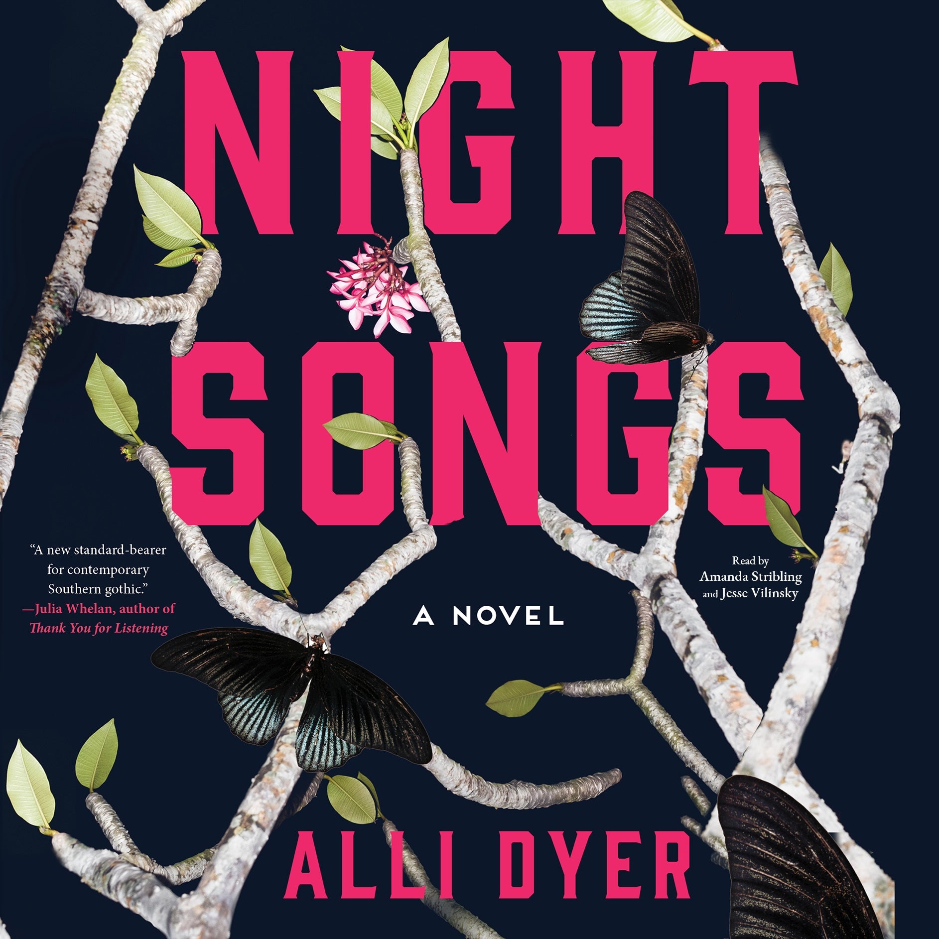 Night Songs