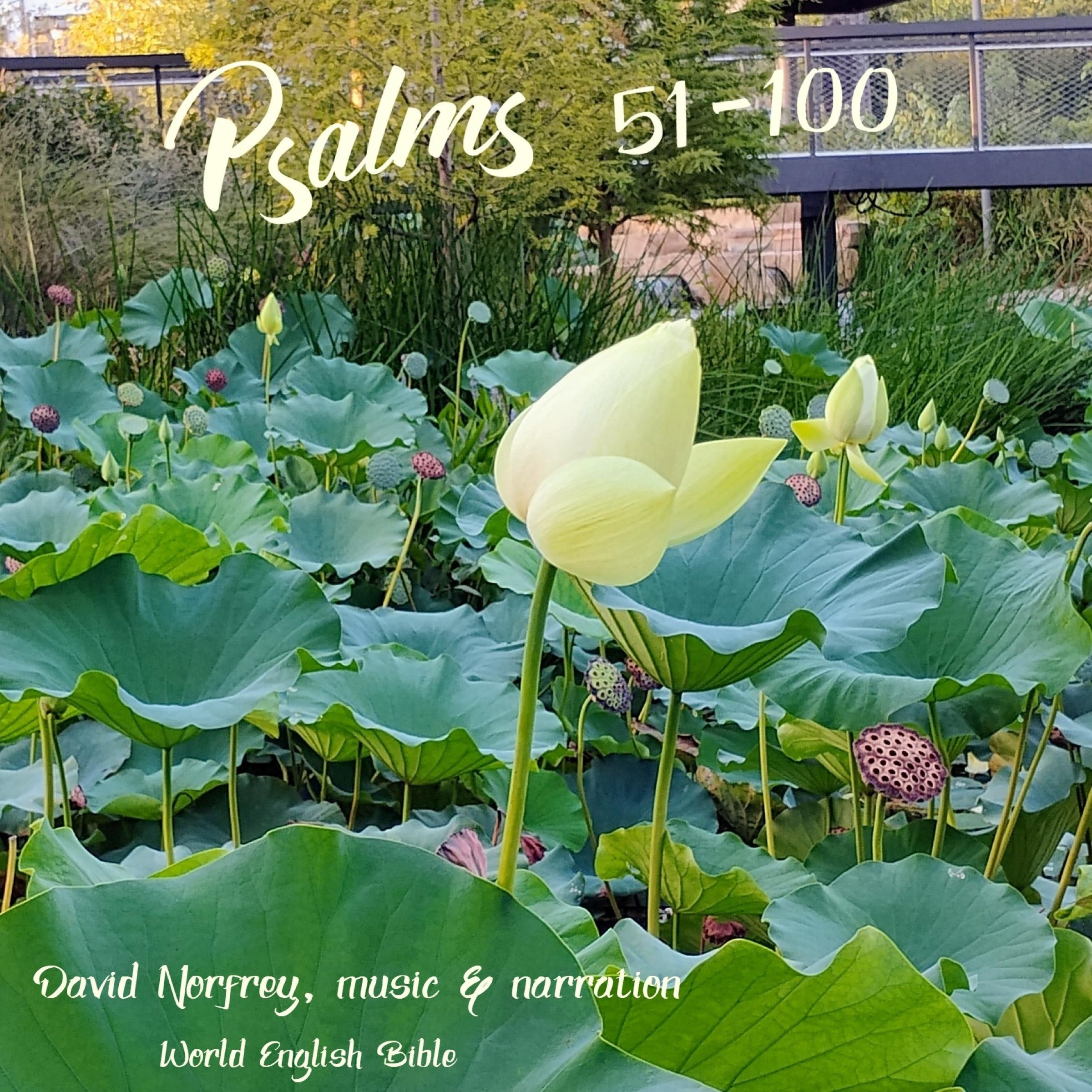 Psalms (51 - 100)
