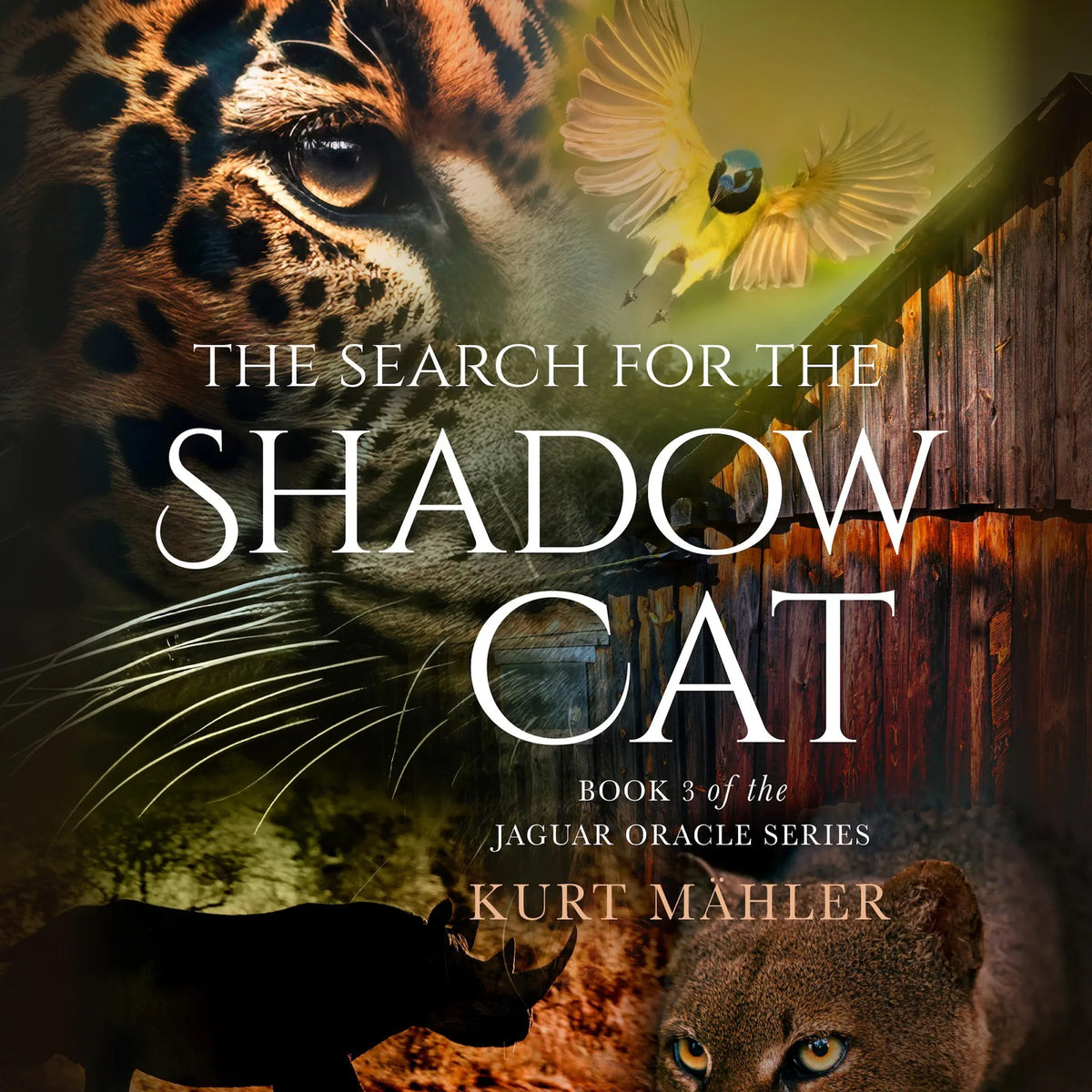 The Search for the Shadow Cat