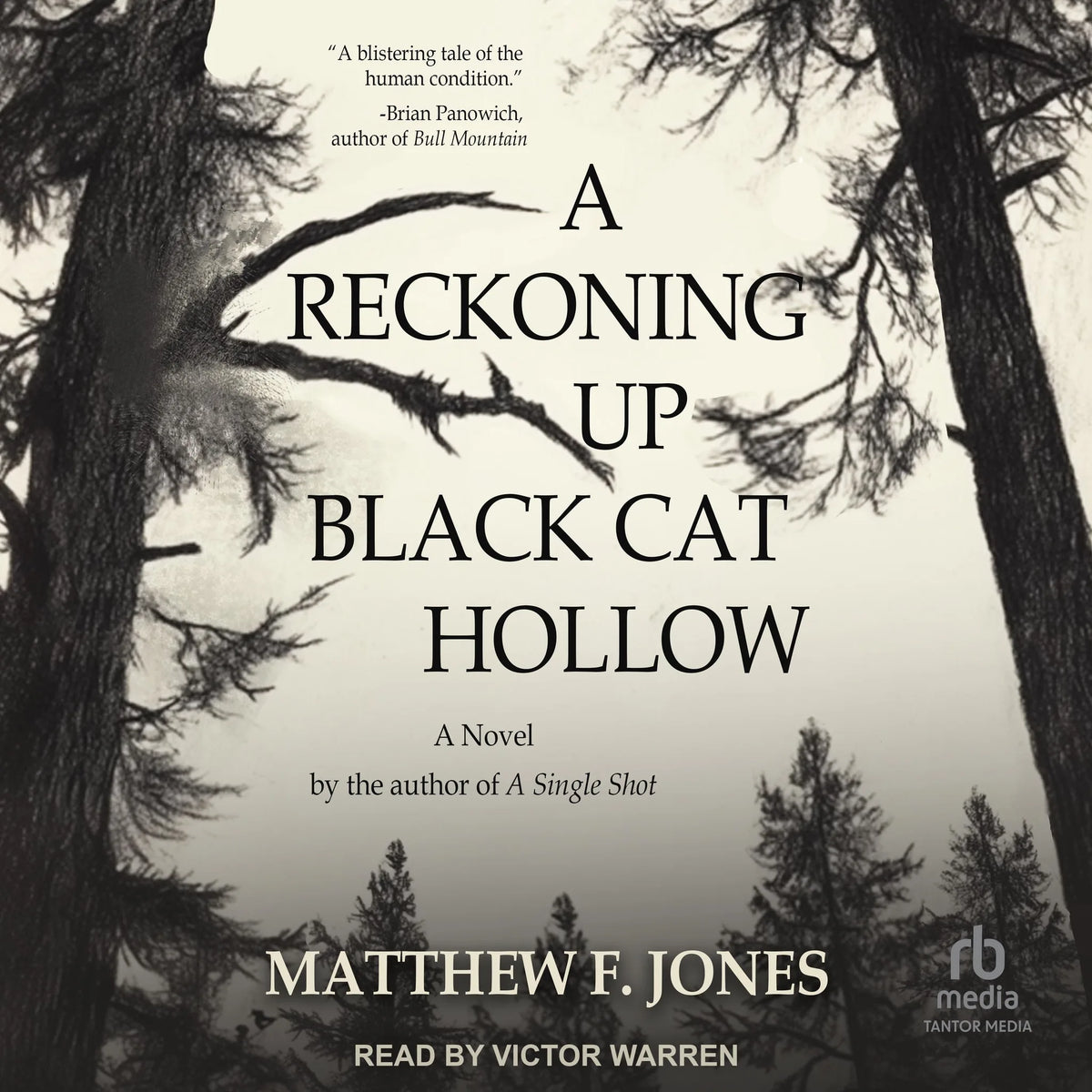 A Reckoning Up Black Cat Hollow