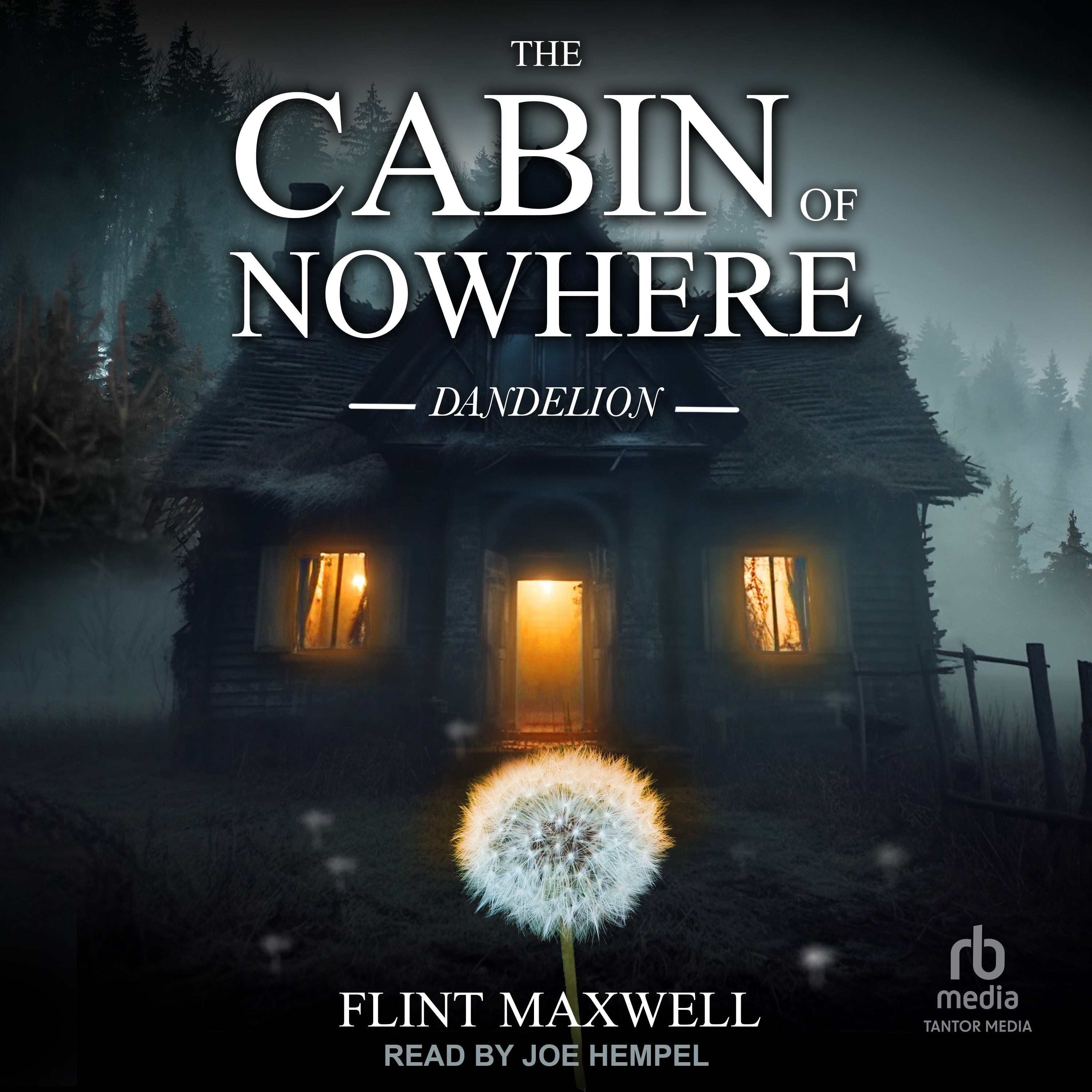 The Cabin of Nowhere