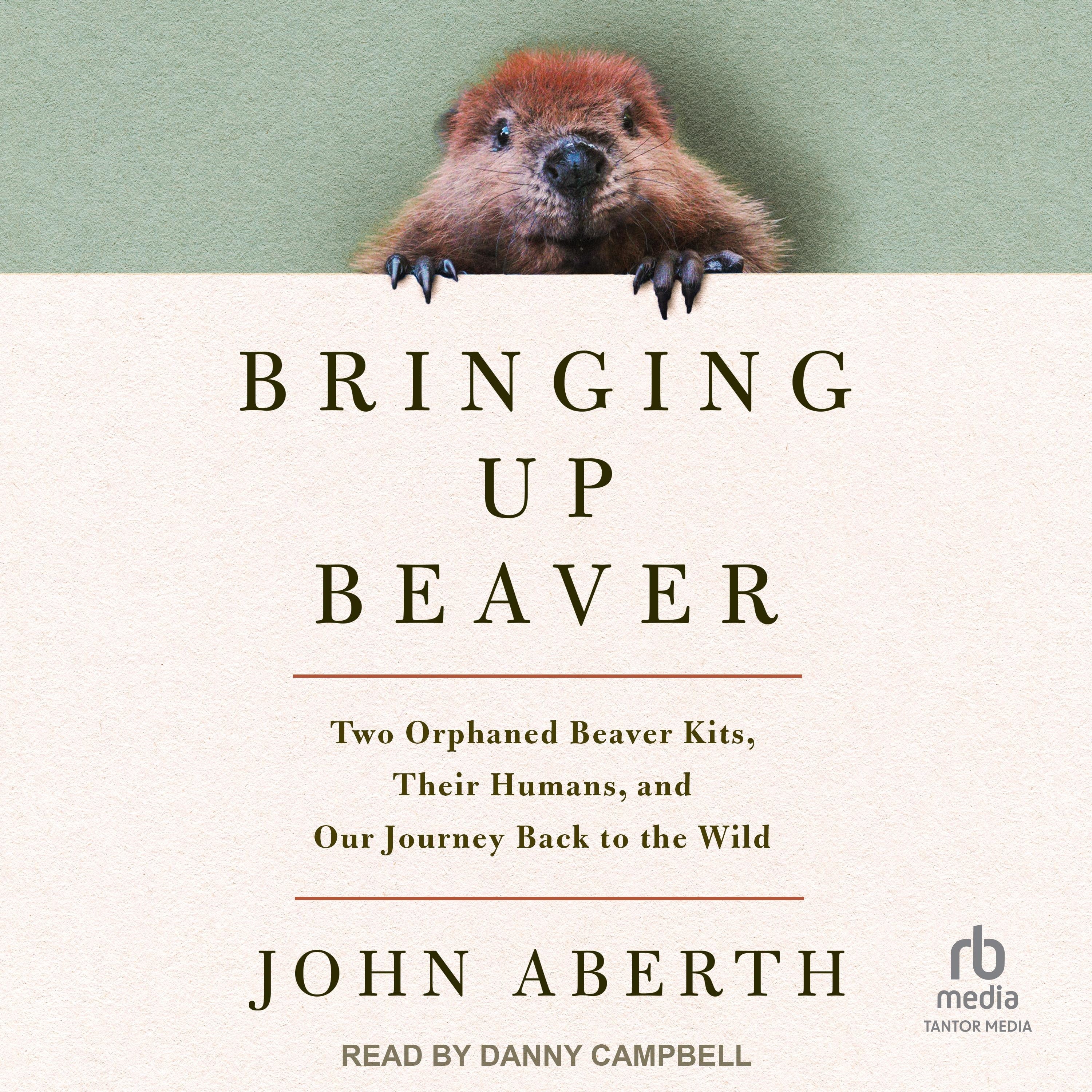 Bringing Up Beaver