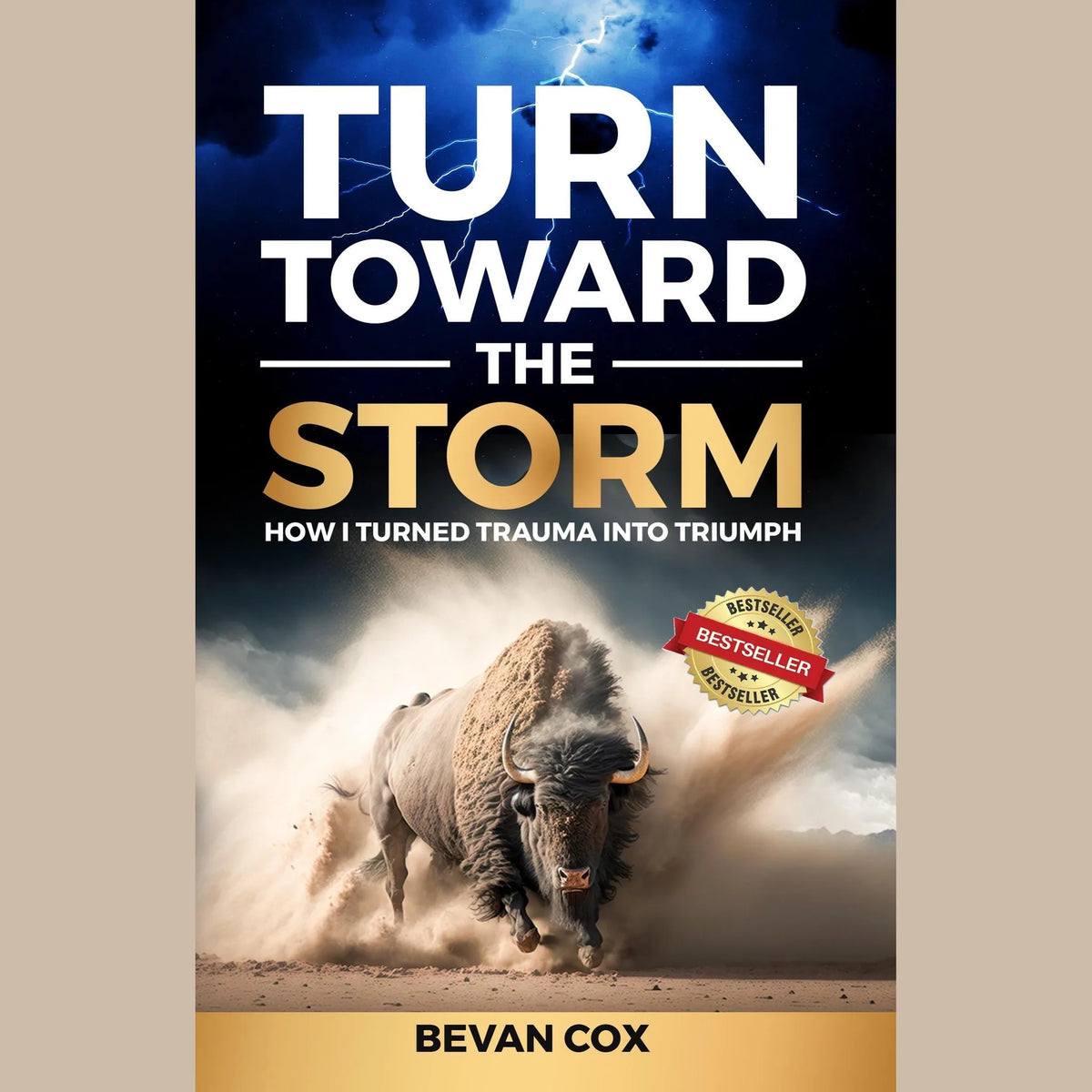 Turn Toward The Storm