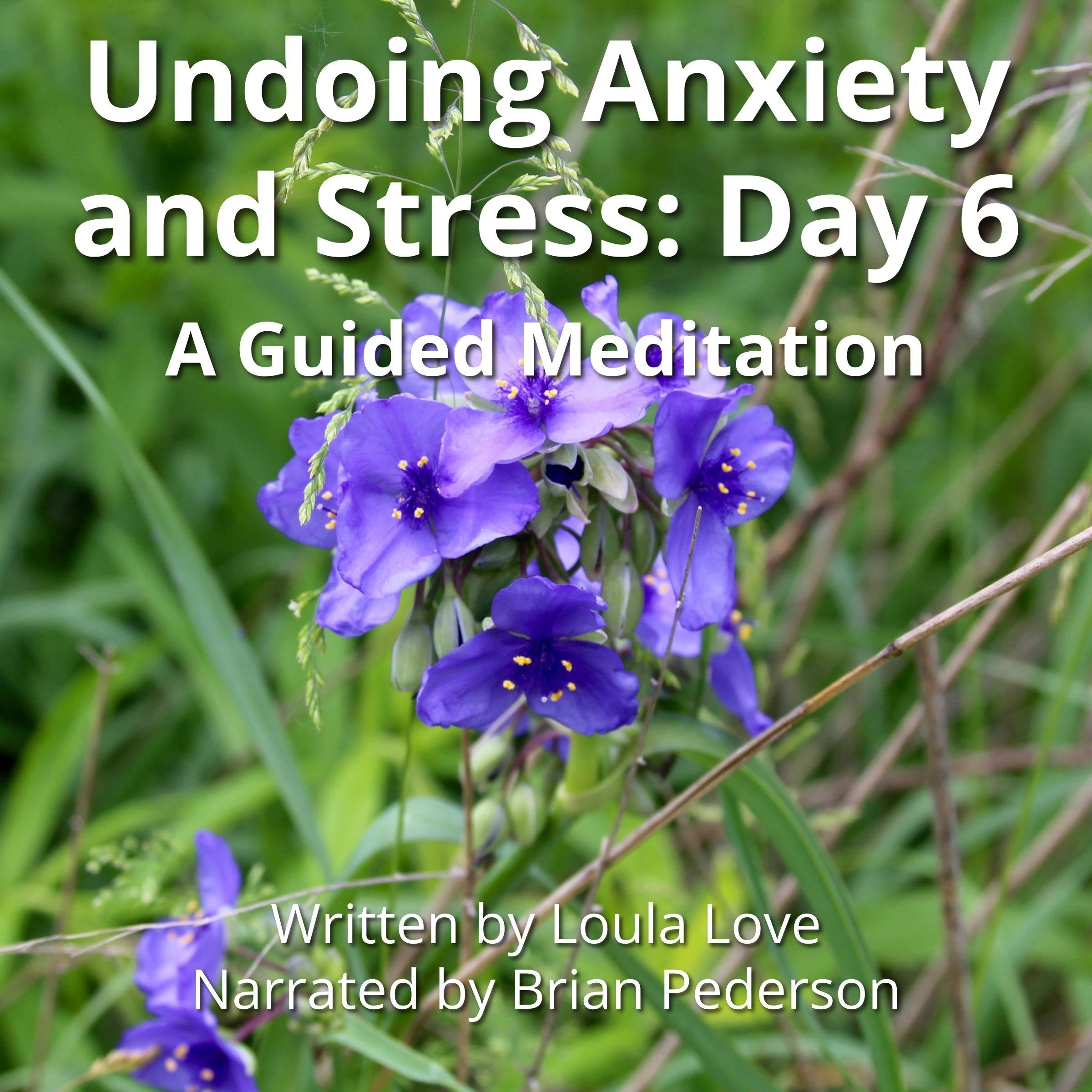 Undoing Anxiety and Stress: Day 6