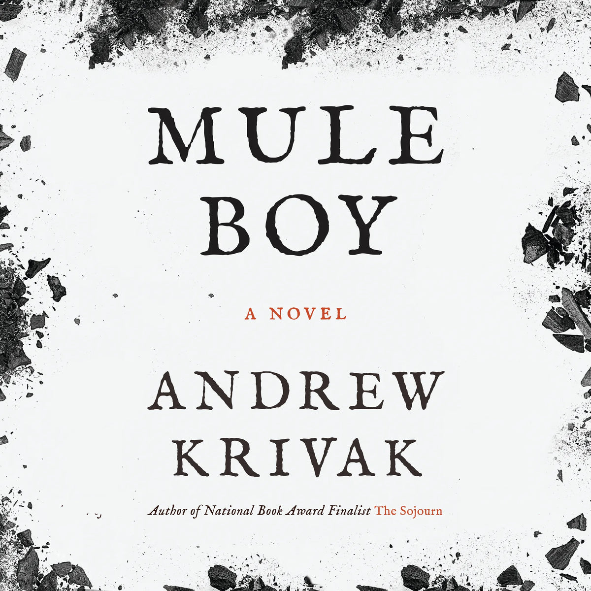 Mule Boy
