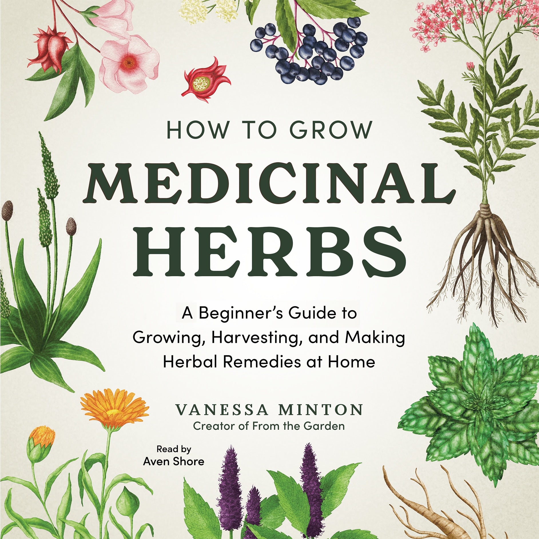 How to Grow Medicinal Herbs